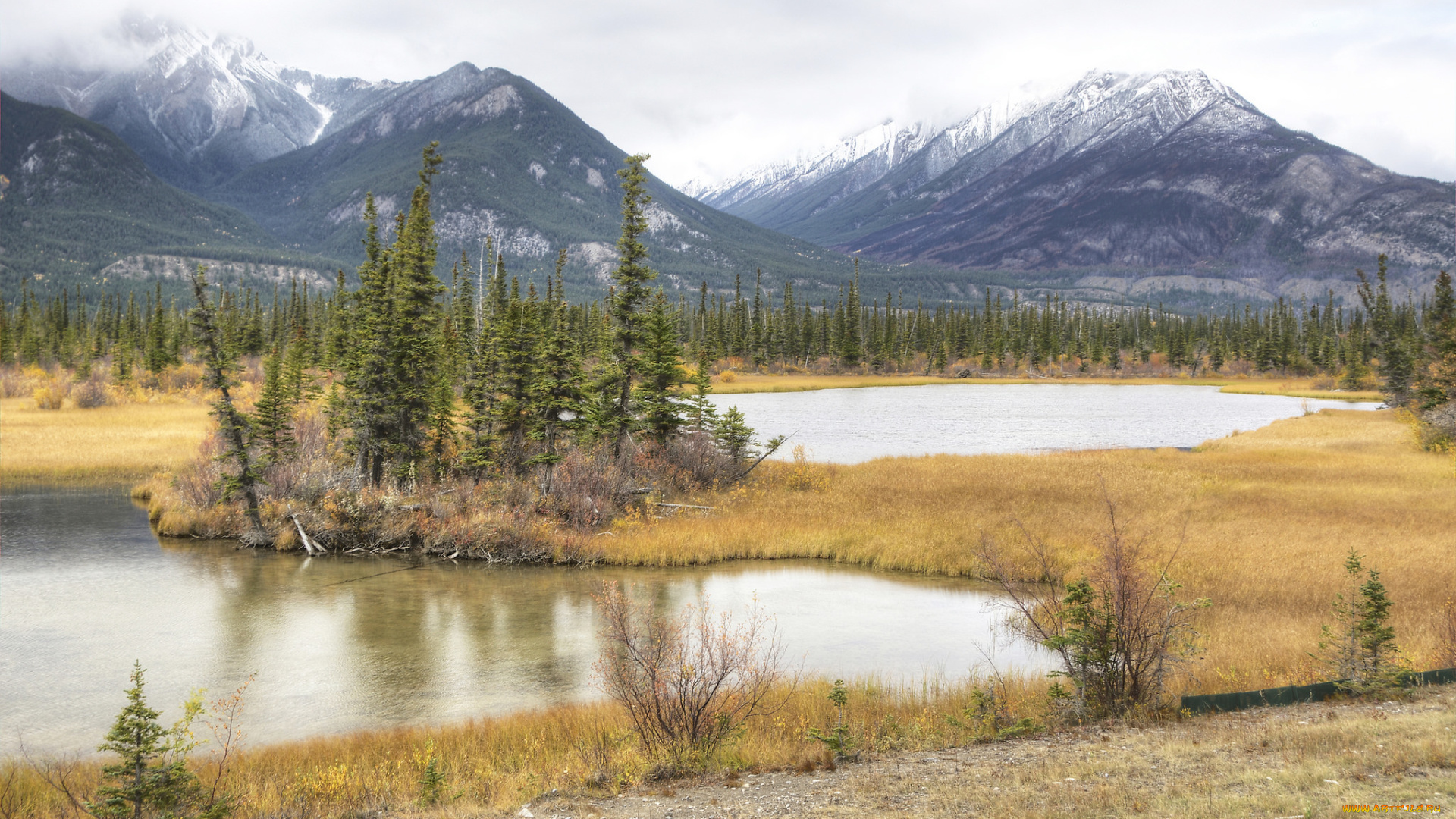 природа, реки, озера, горы, река, лес