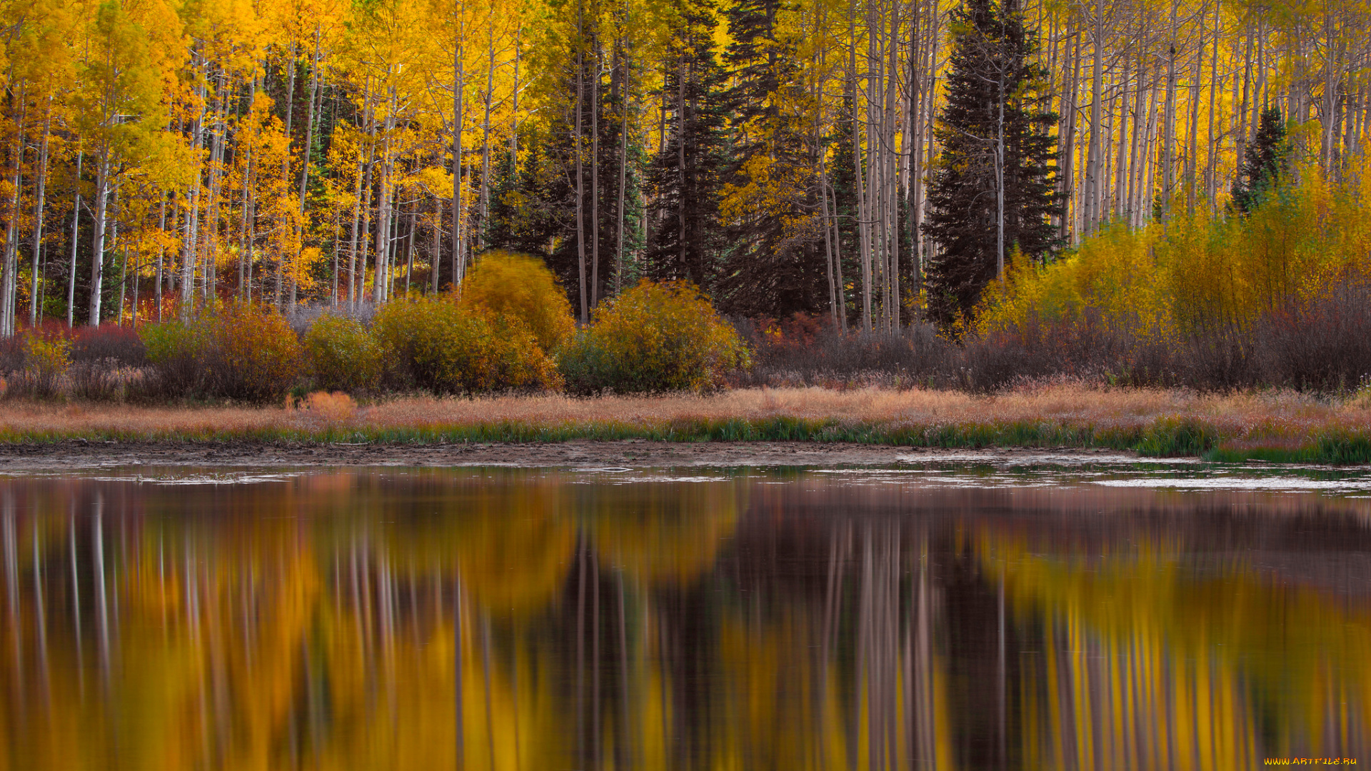 природа, реки, озера, лес, отражение, озеро, осень