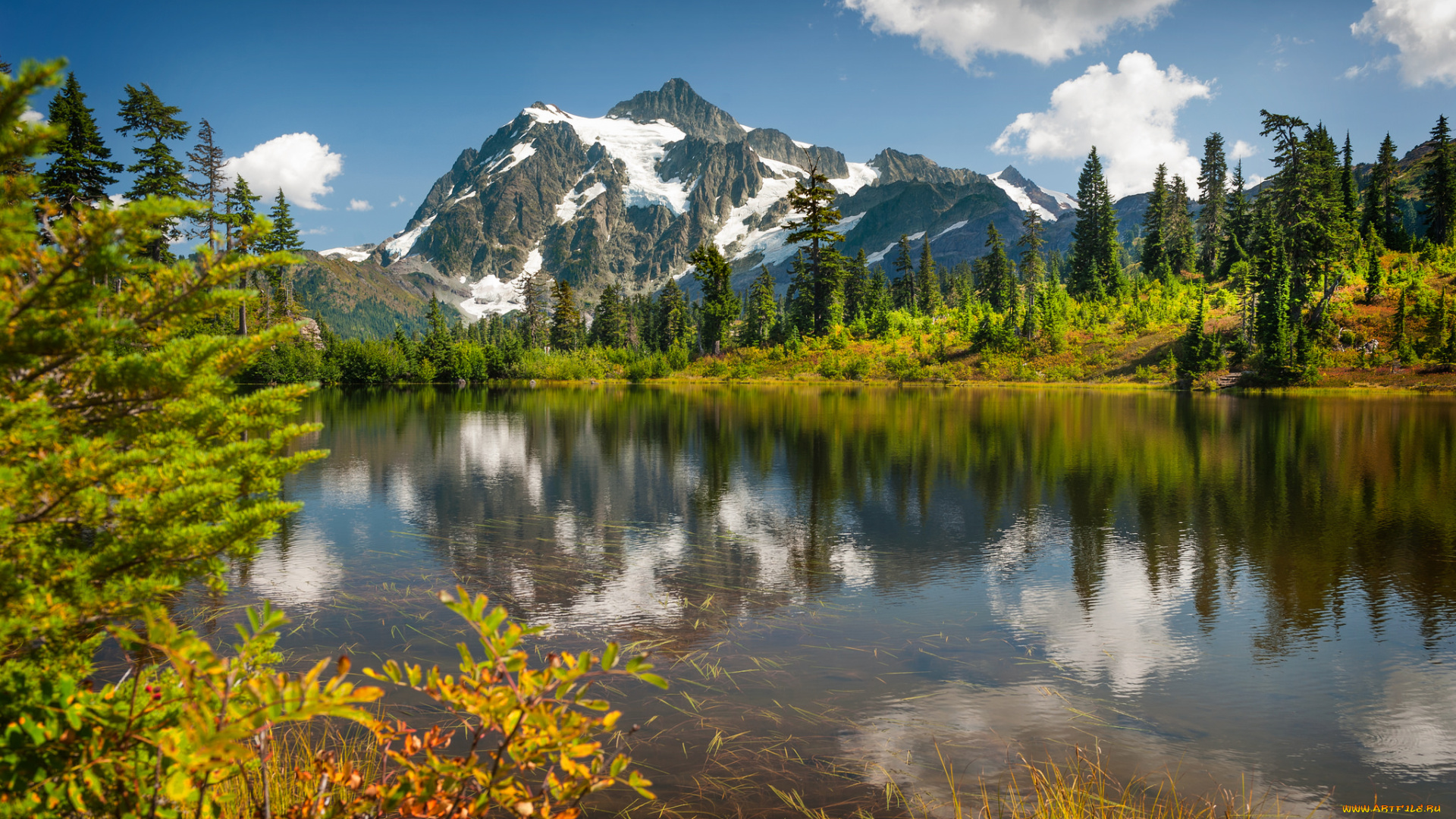 природа, реки, озера, лес, река