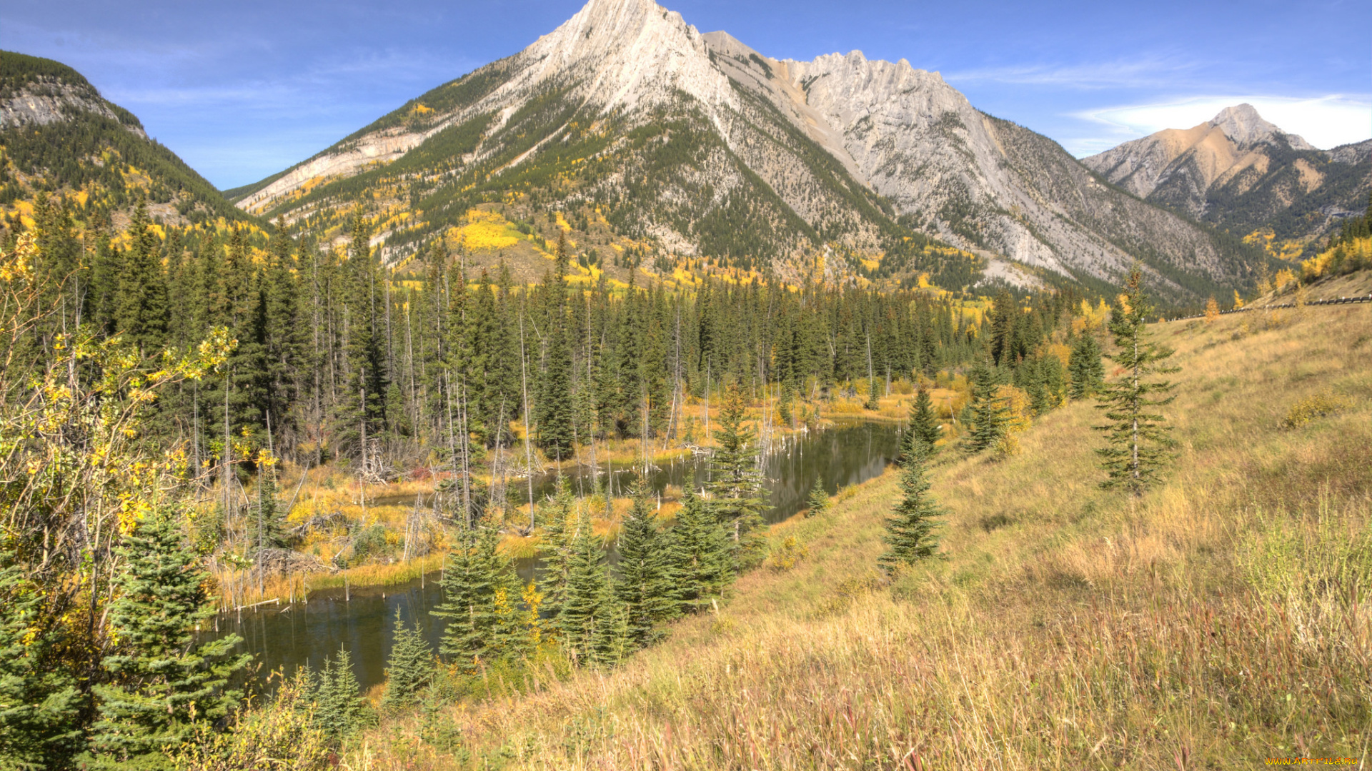 природа, реки, озера, лес, река, горы