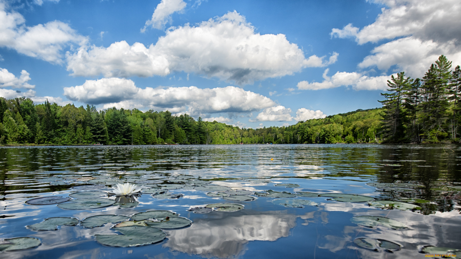 природа, реки, озера, облака, небо, озеро
