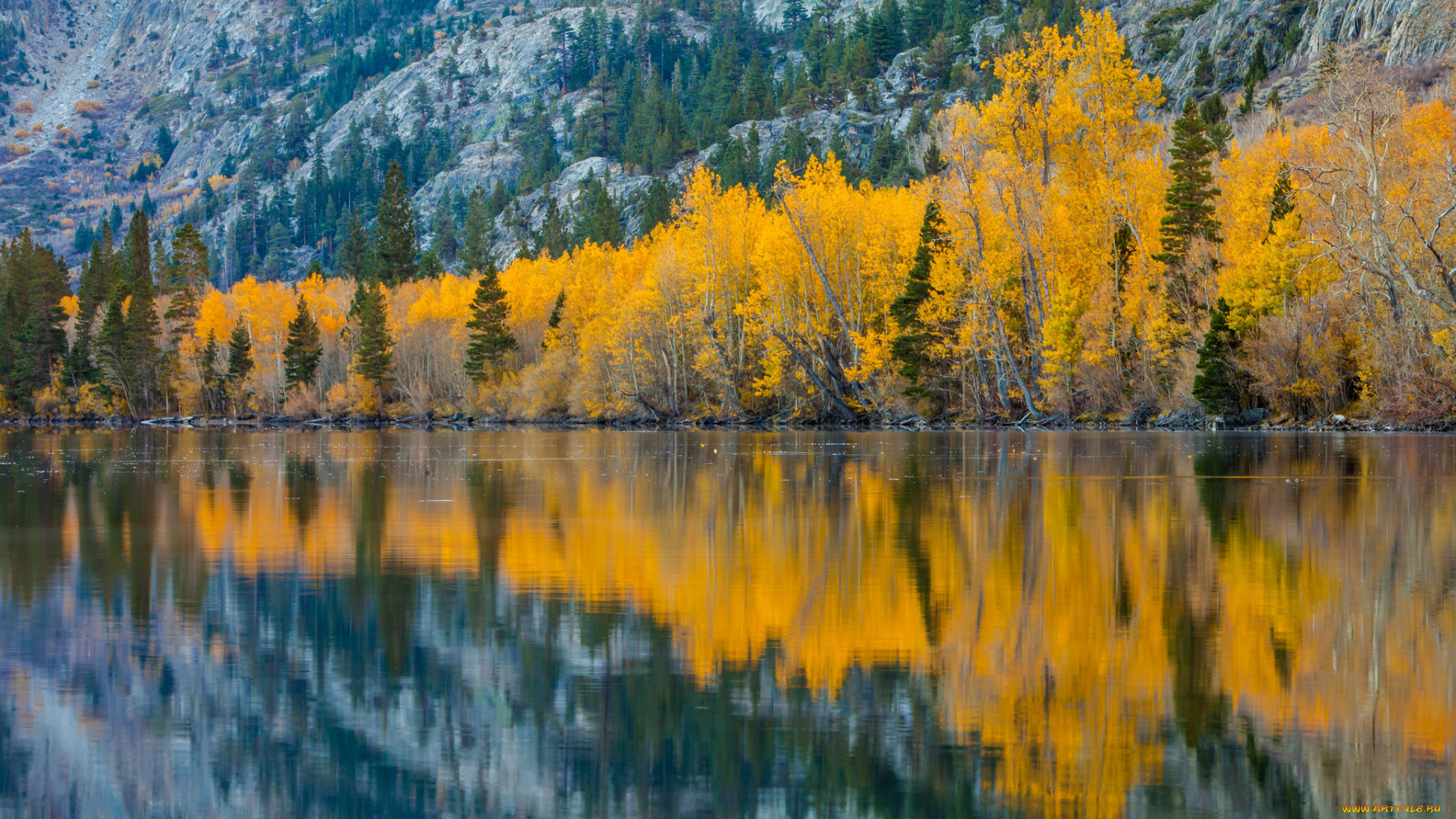 природа, реки, озера, осень, озеро, деревья, склон
