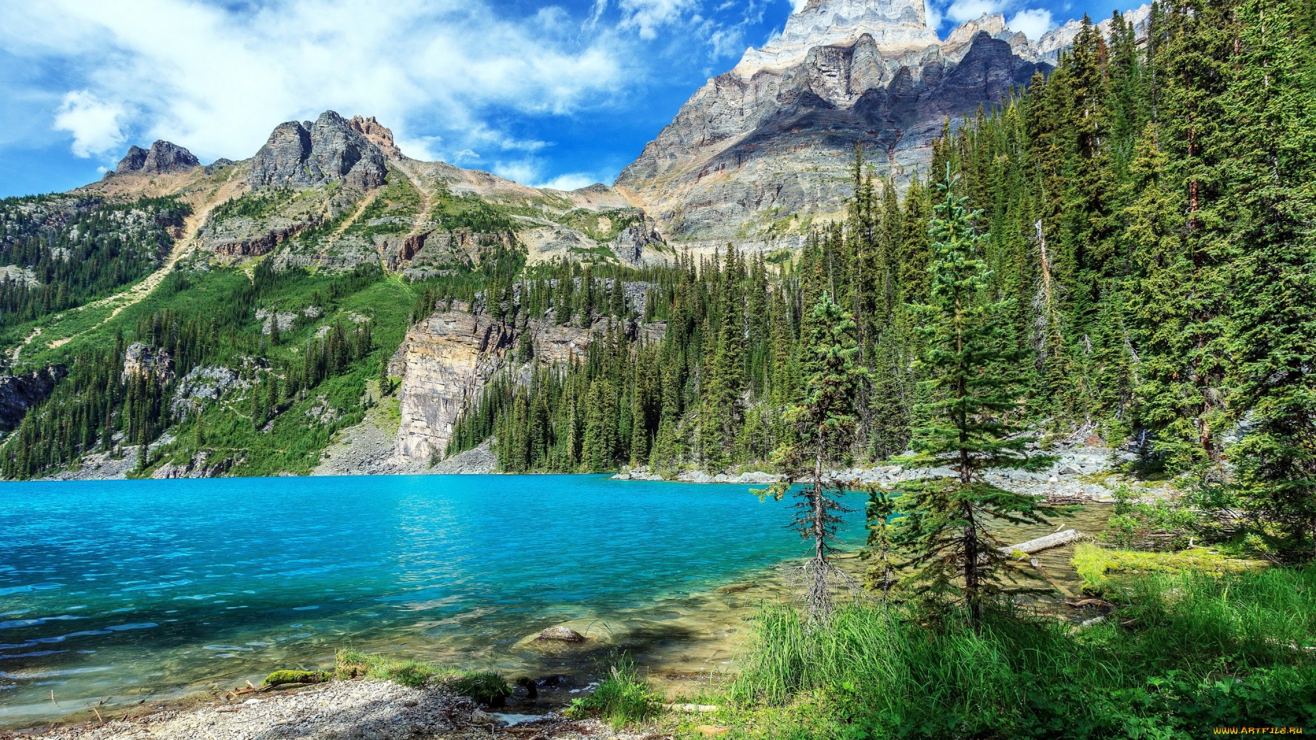 природа, реки, озера, озеро, облака, канада, деревья, камни, горы, yoho, national, park, скалы