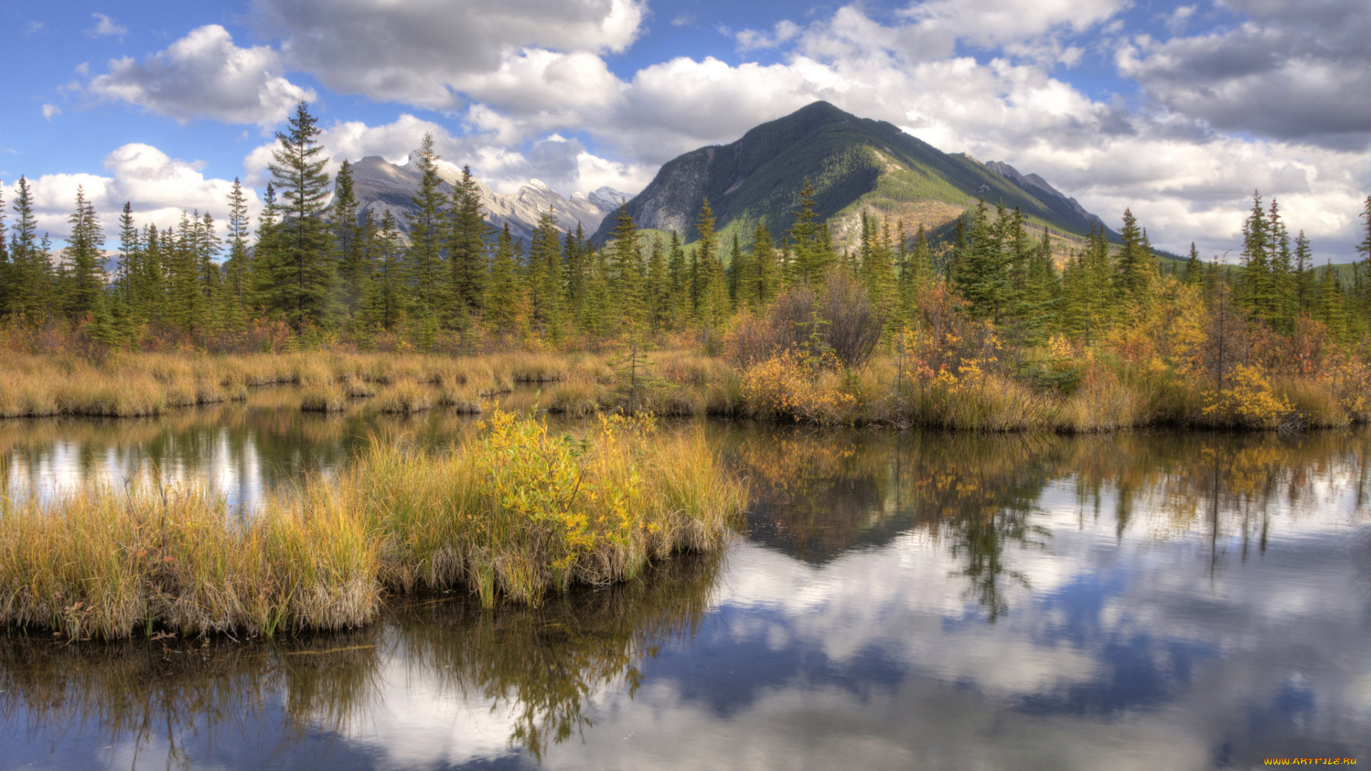 природа, реки, озера, река, лес, горы