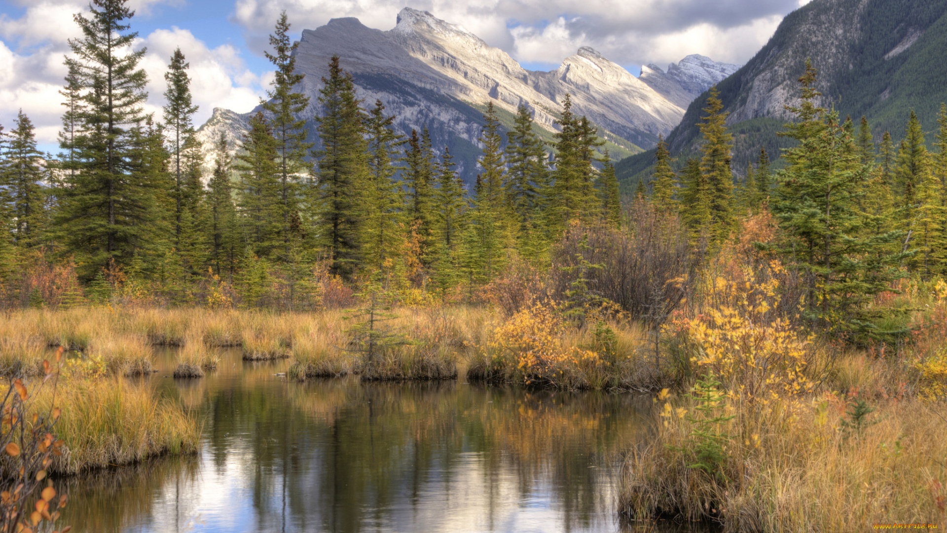 природа, реки, озера, река, лес, горы