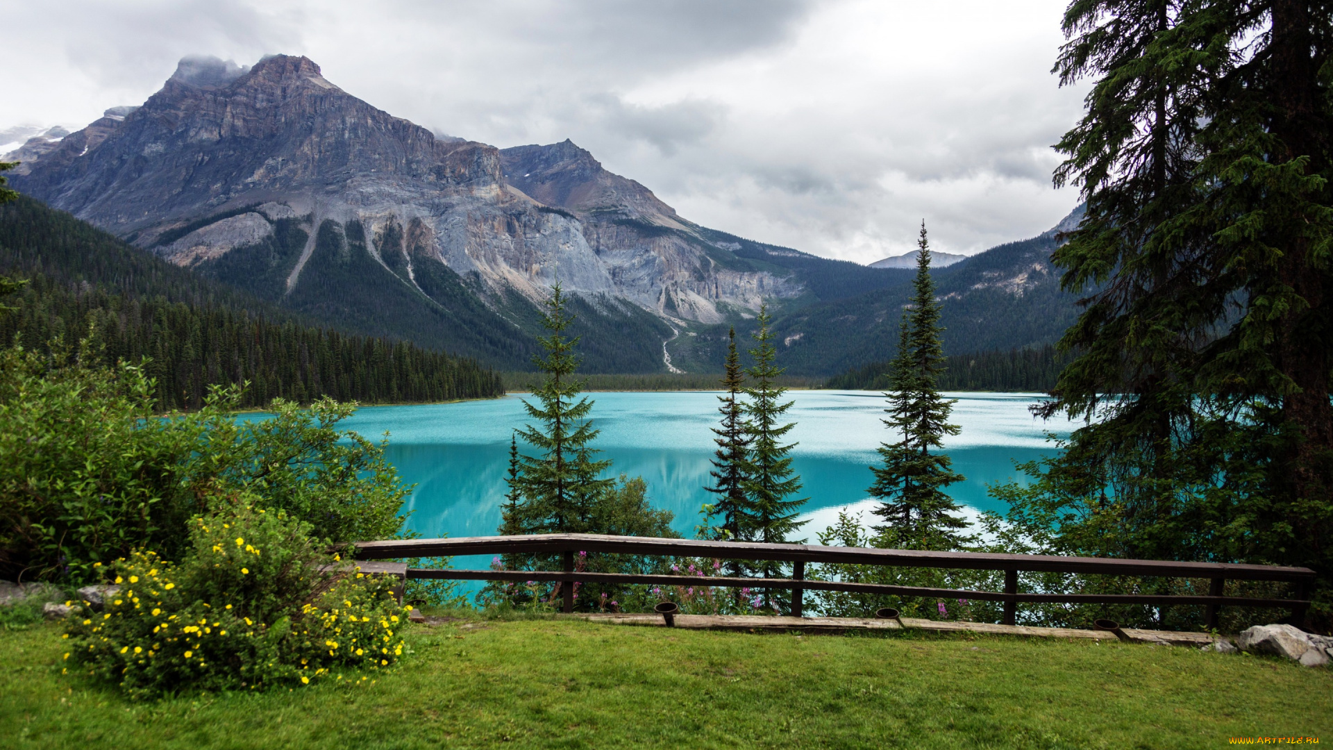 природа, реки, озера, yoho, national, park, канада, вид, площадка, озеро, деревья, горы