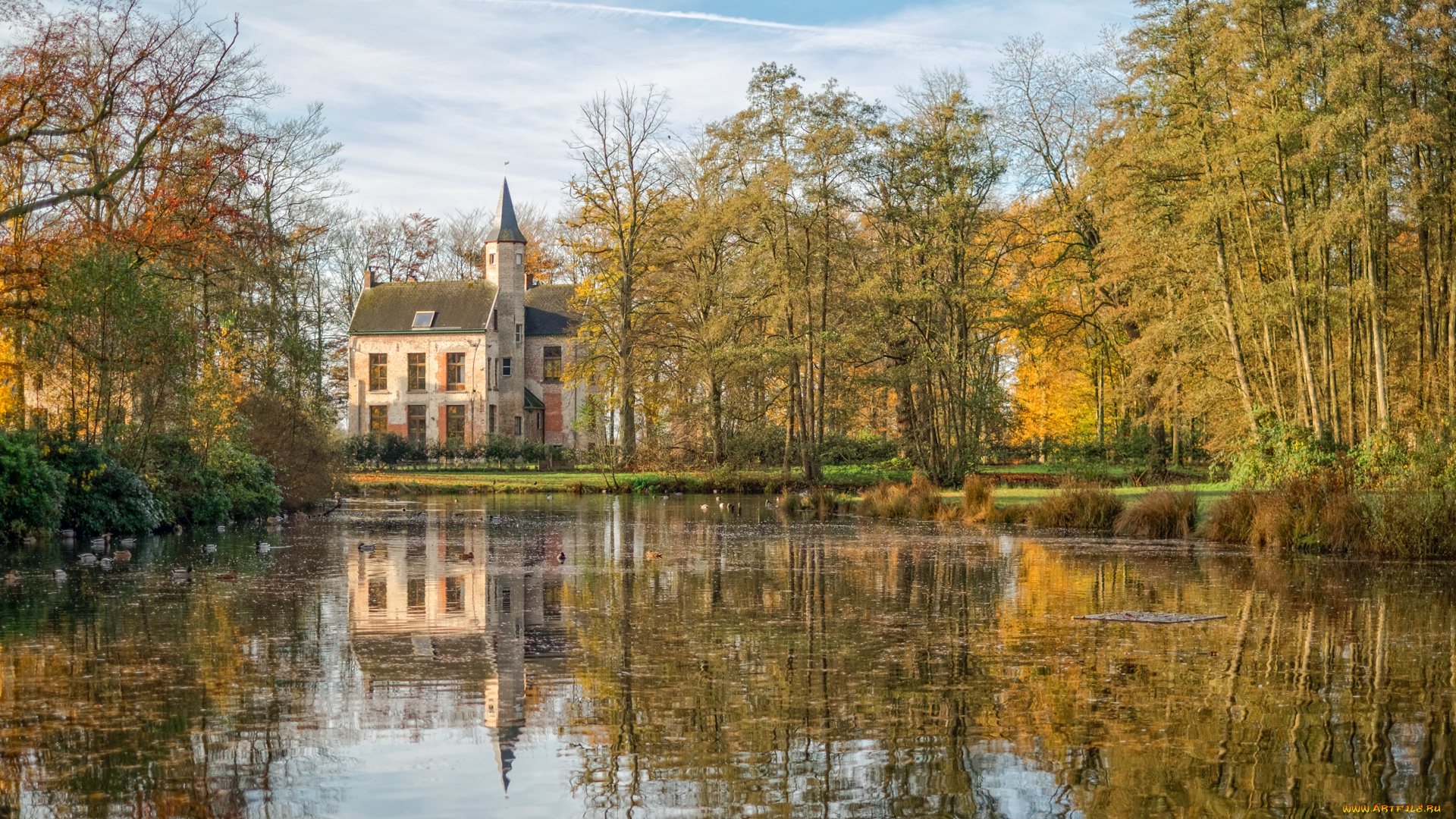 ryckevelde, , brugge, , belgium, города, брюгге, , бельгия, парк, осень