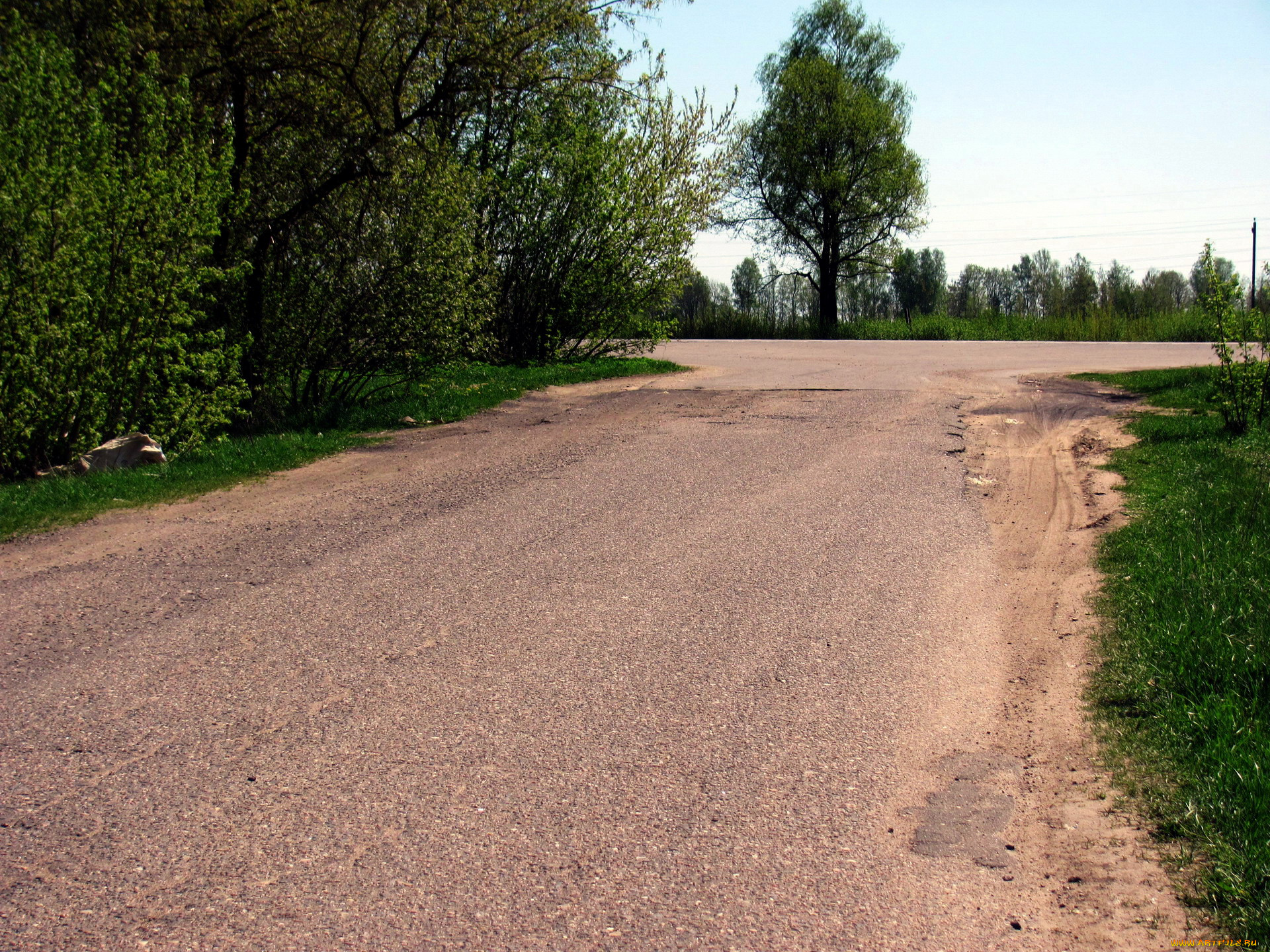 природа, дороги, деревья, перекресток, лето