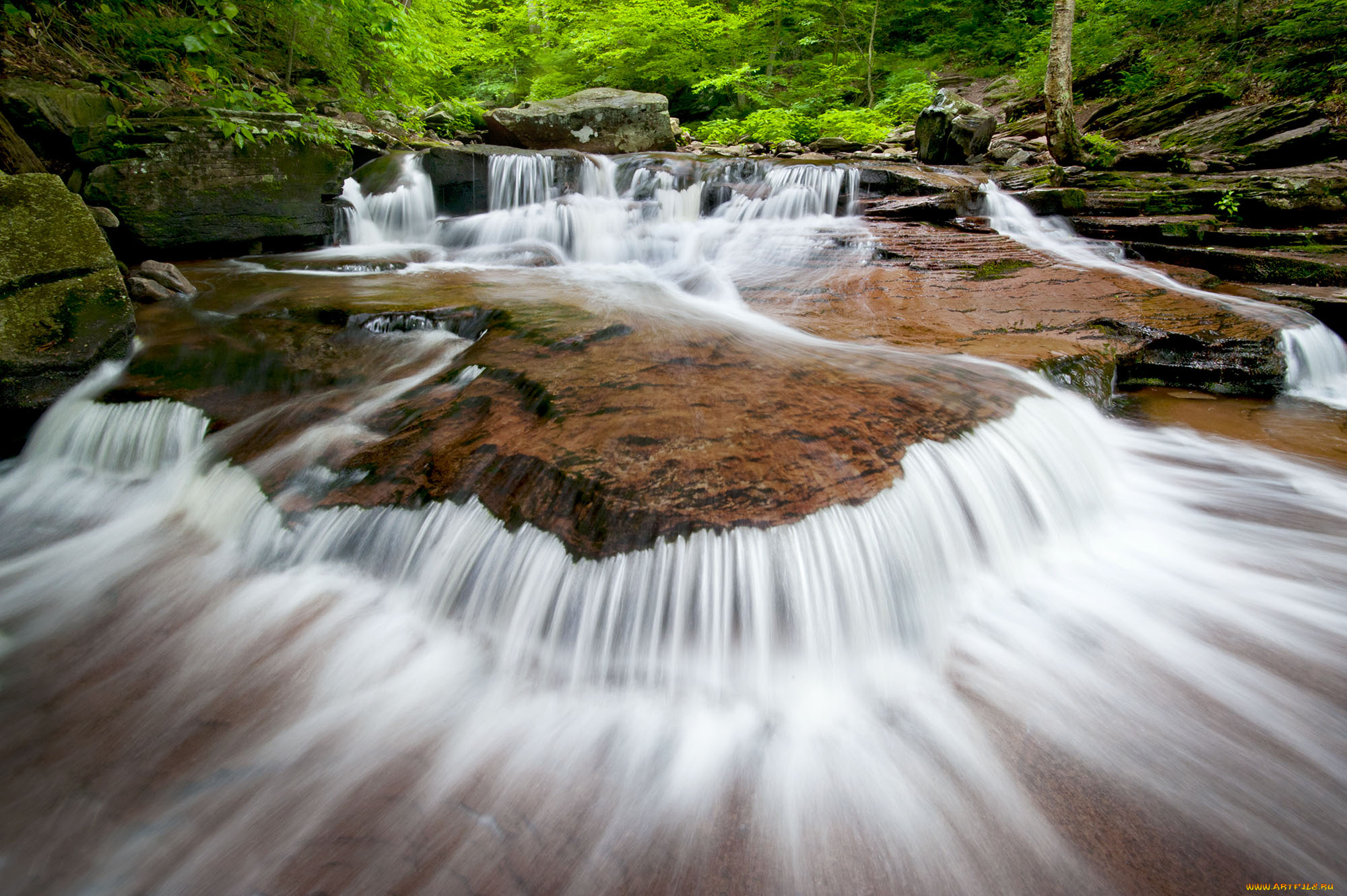 природа, водопады, водопад, река, лес