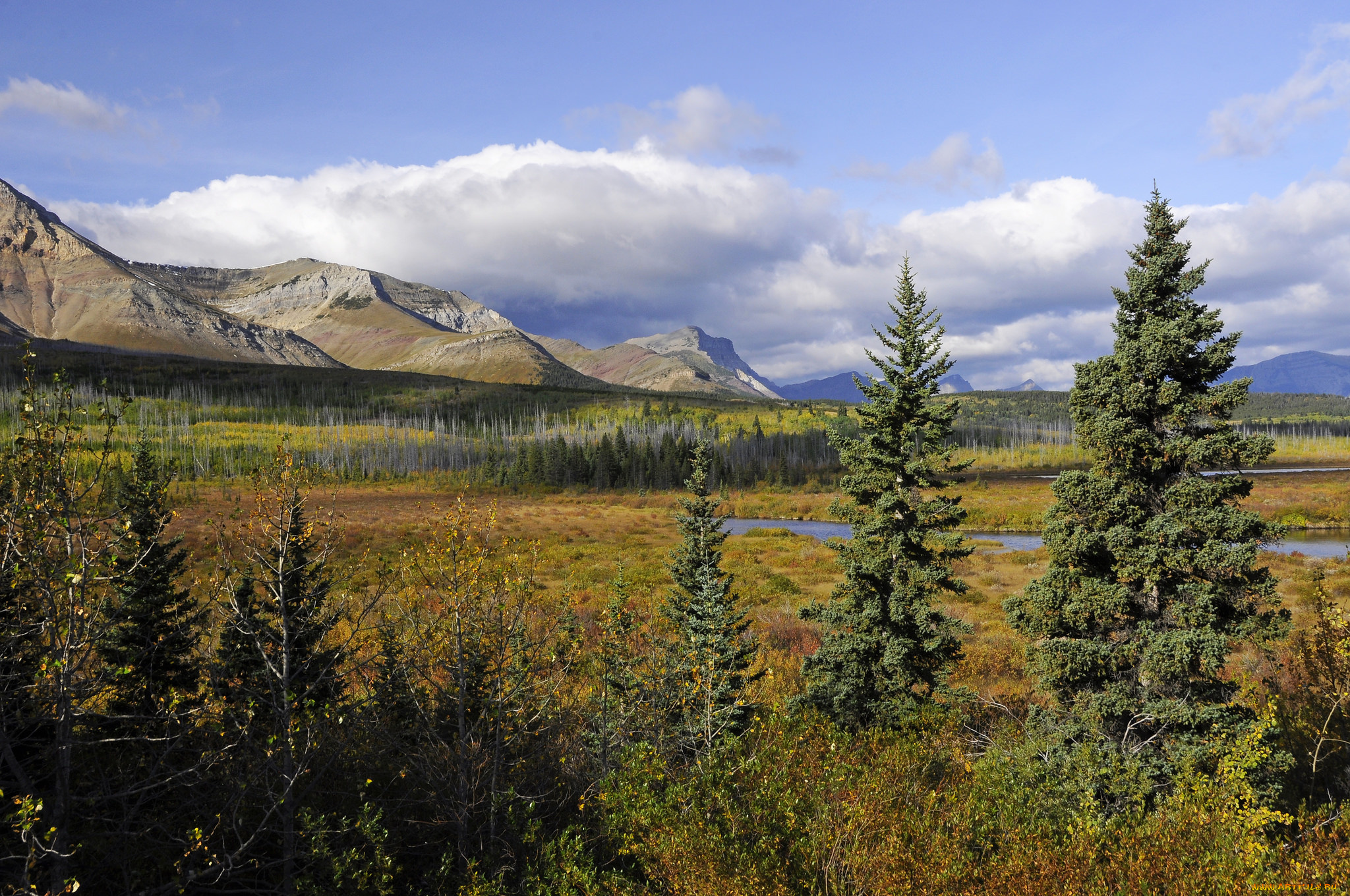 природа, пейзажи, горы, лес