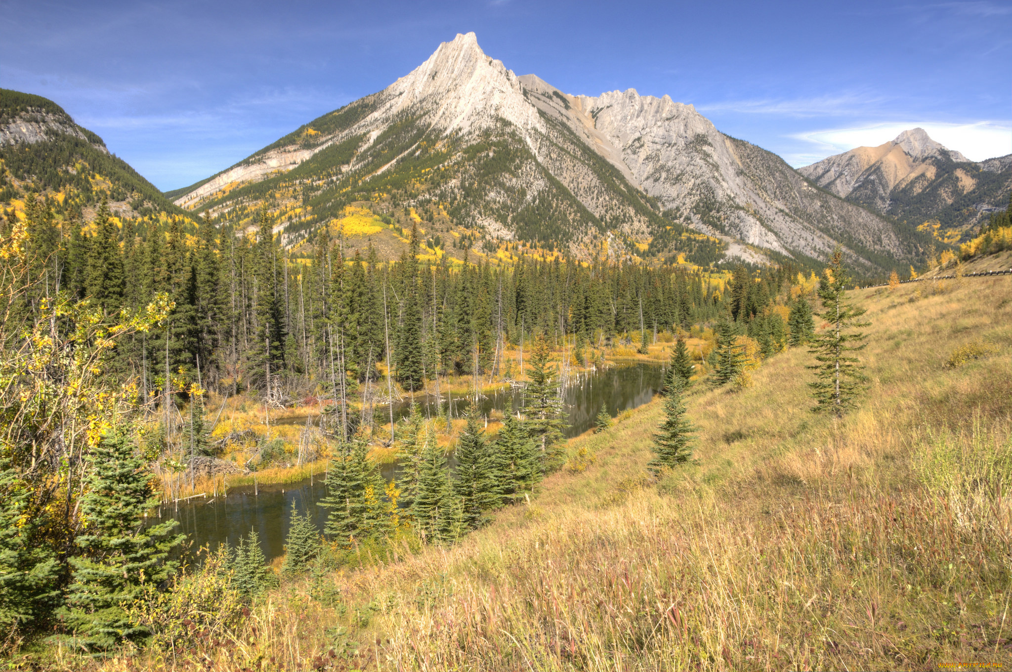 природа, реки, озера, лес, река, горы