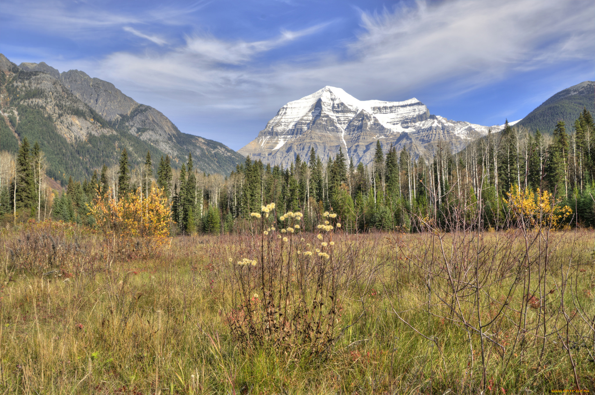 природа, пейзажи, лес, горы