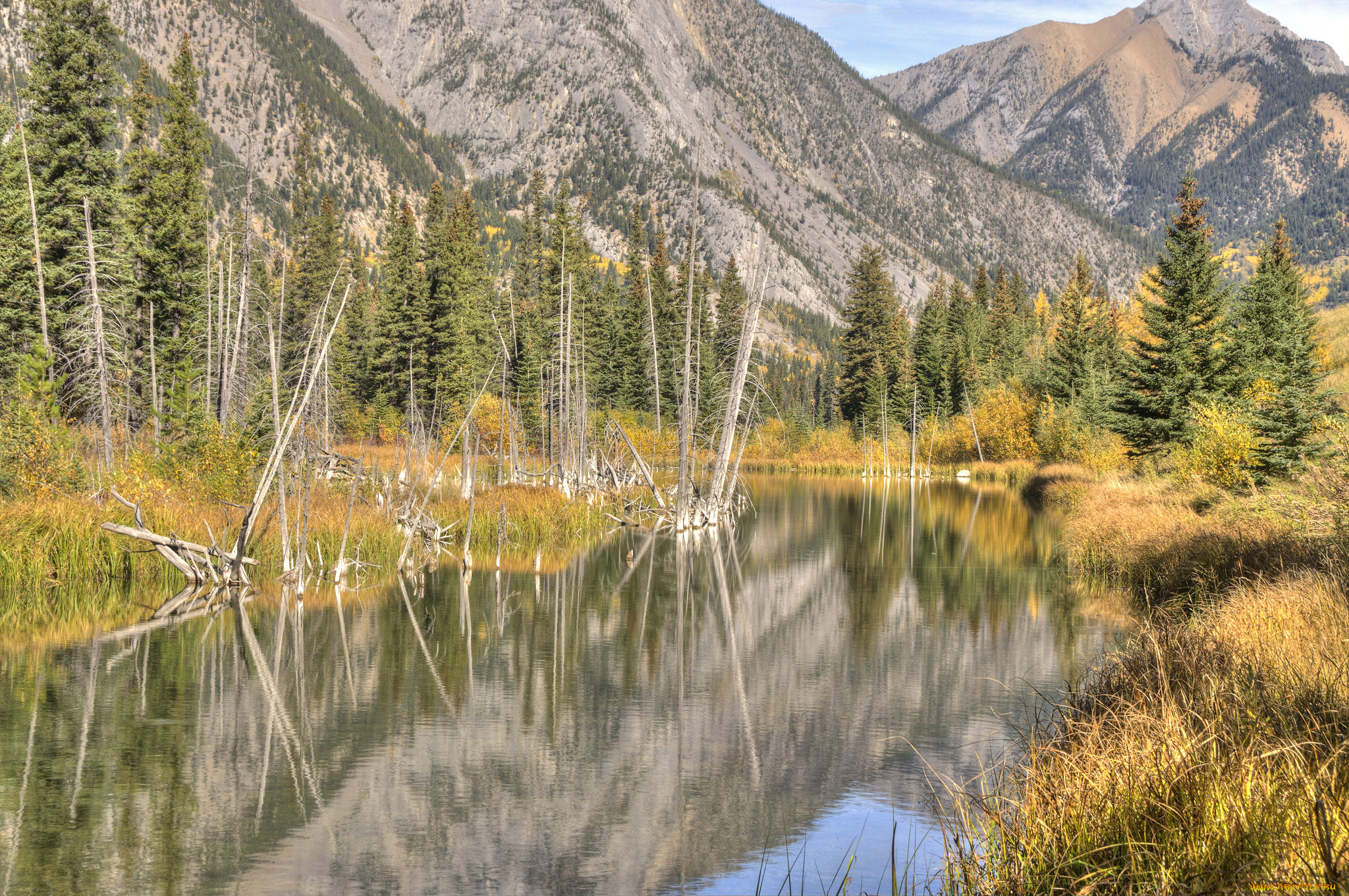 природа, реки, озера, горы, лес, река