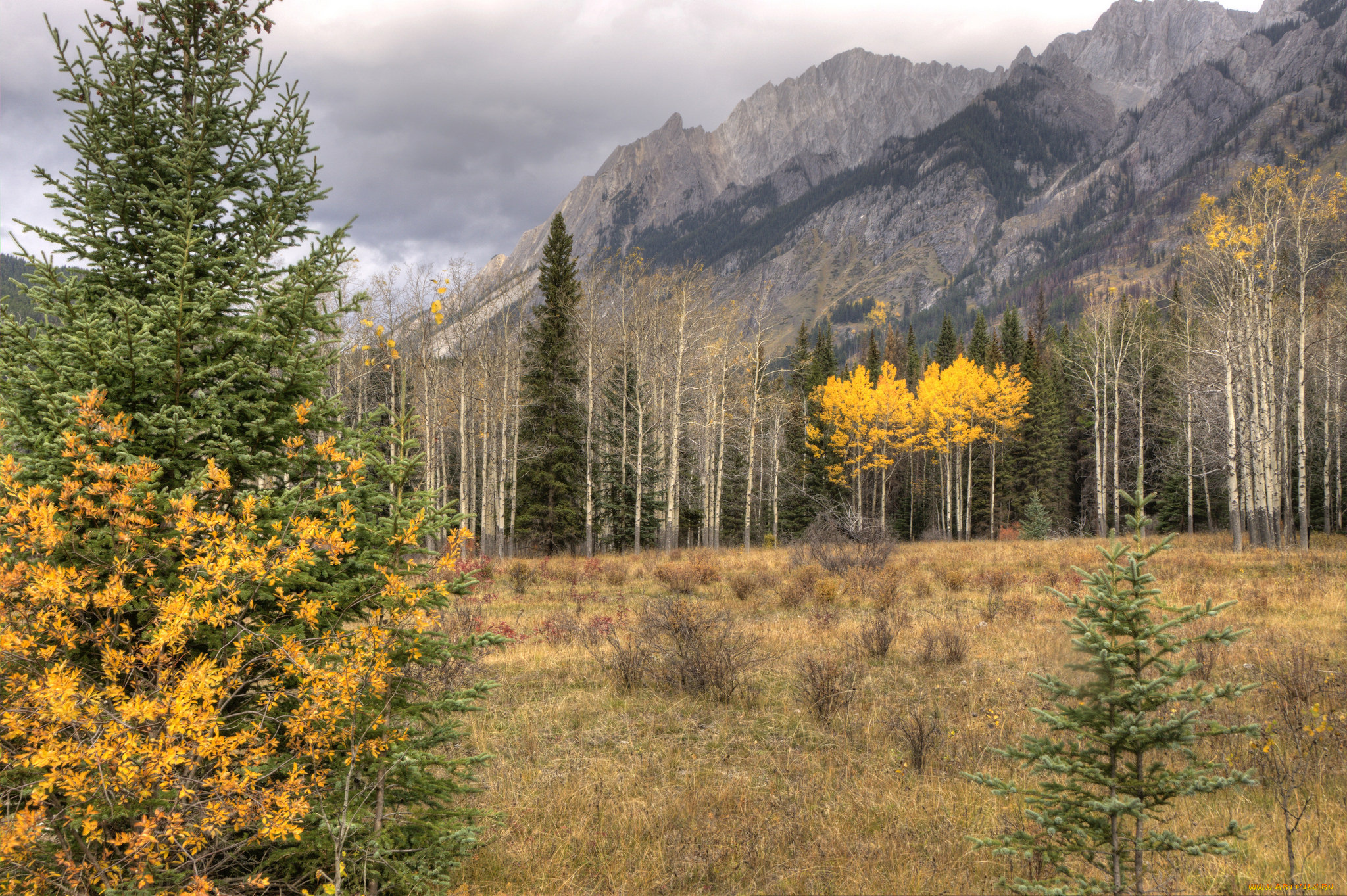 природа, пейзажи, лес, горы