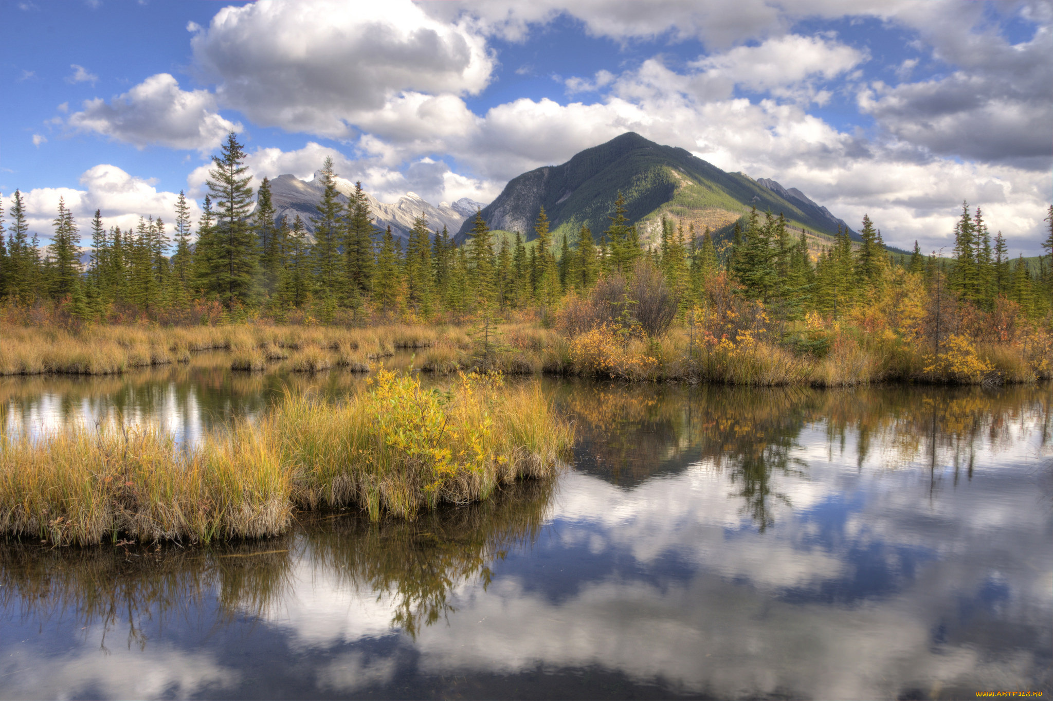 природа, реки, озера, река, лес, горы