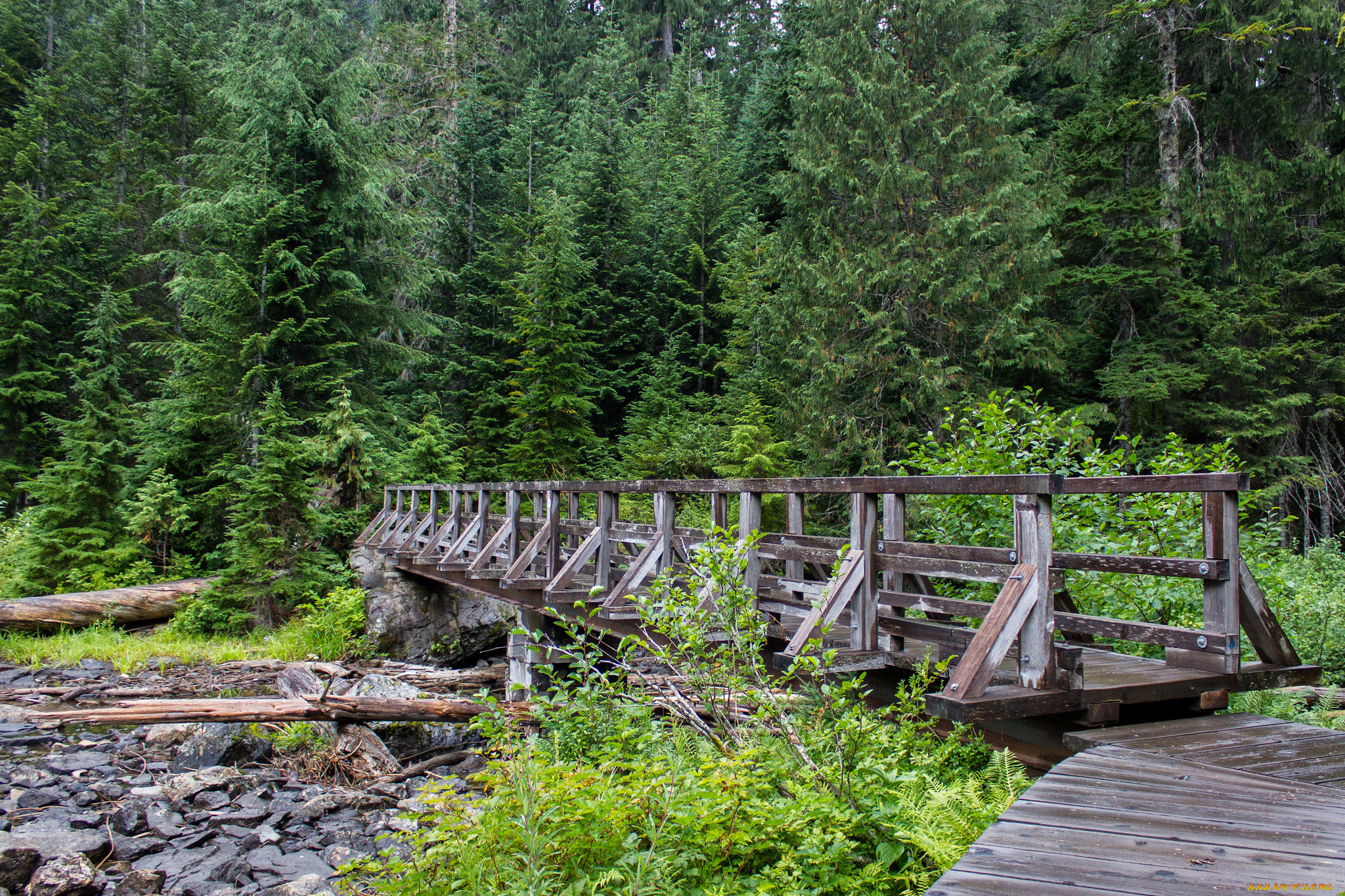 природа, дороги, мостик, лес