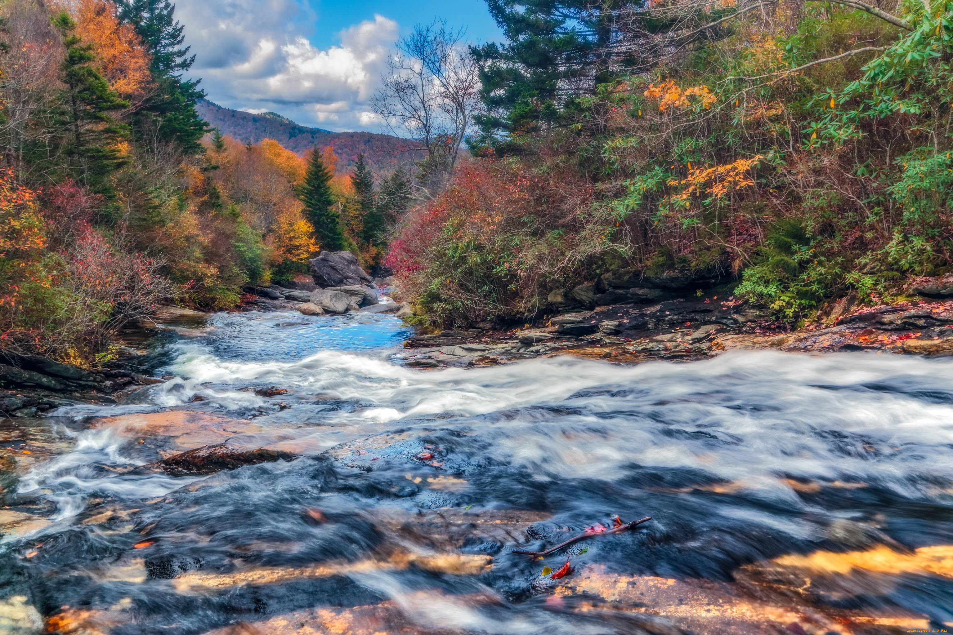 природа, реки, озера, деревья, осень, река