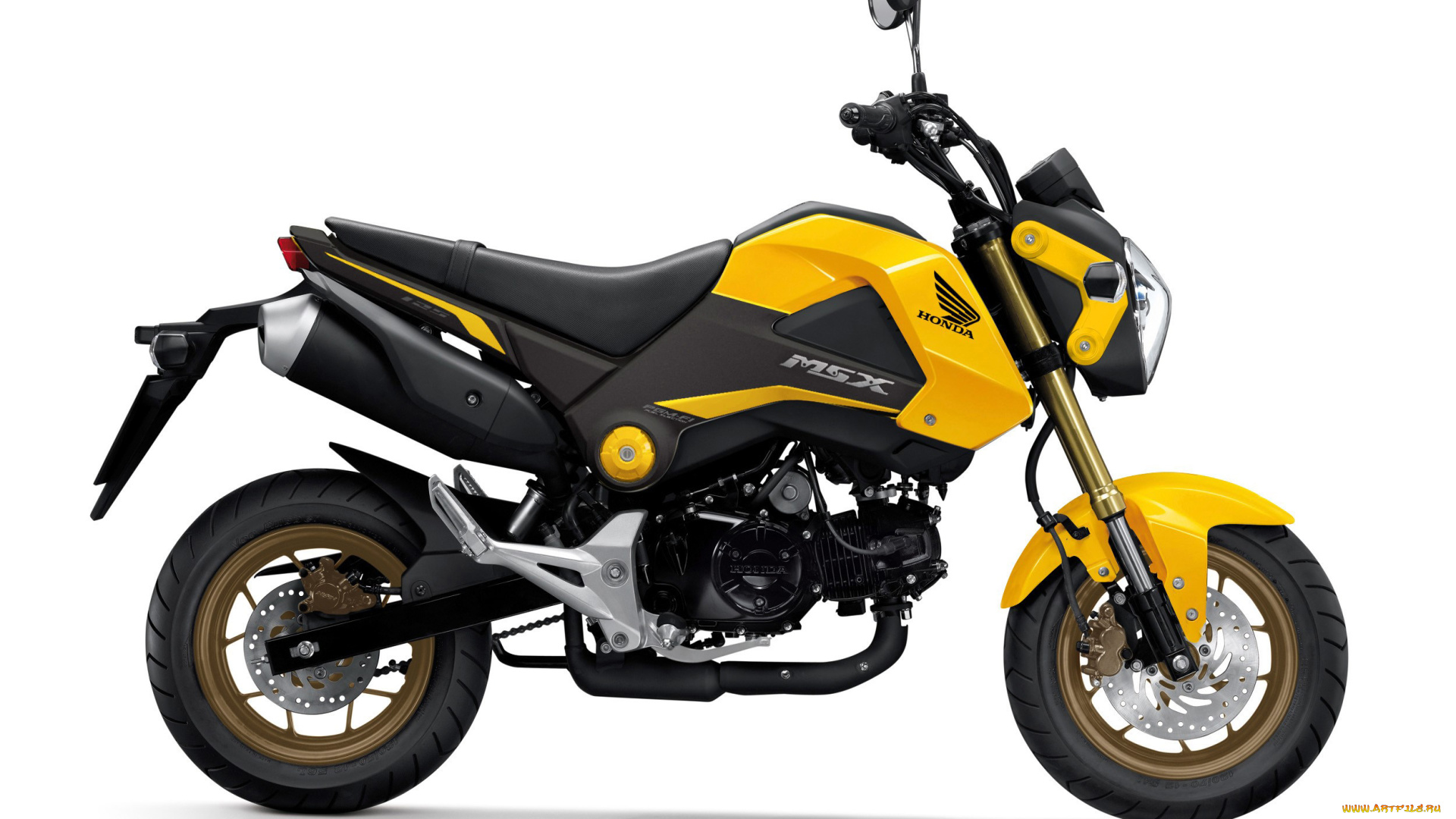 мотоциклы, honda