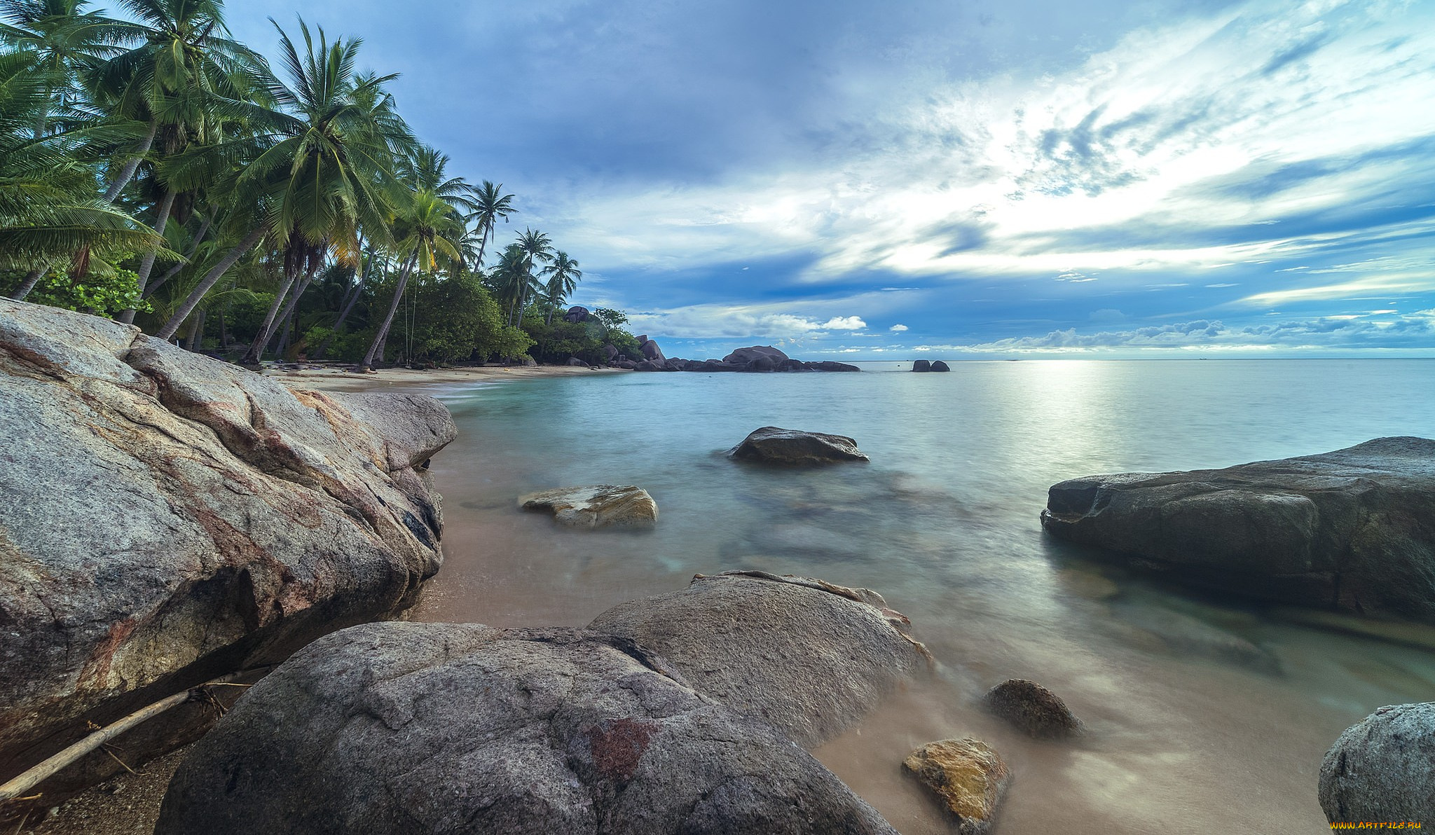 природа, тропики, пляж, пальмы, лето, море