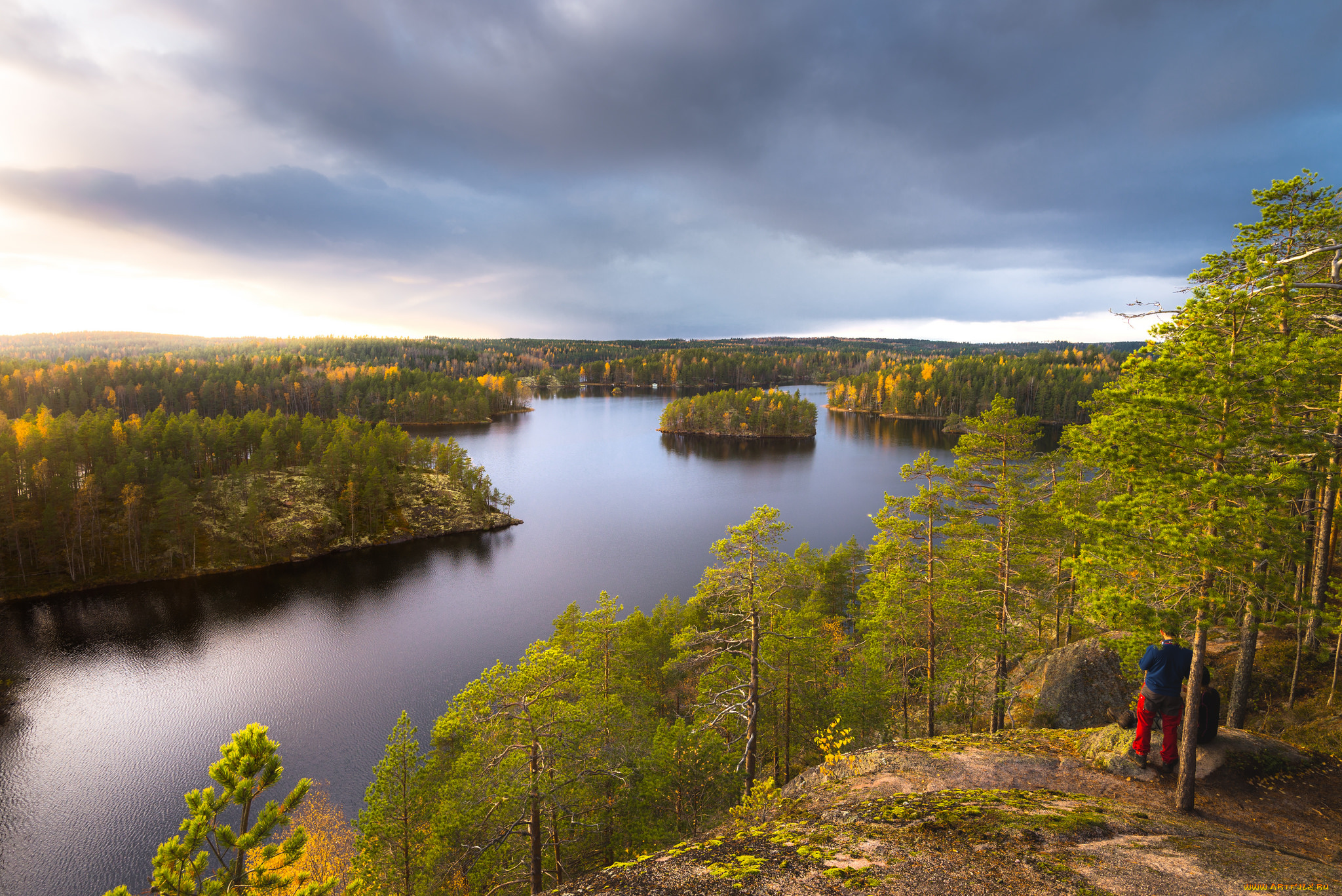 природа, реки, озера, река, деревья, лес