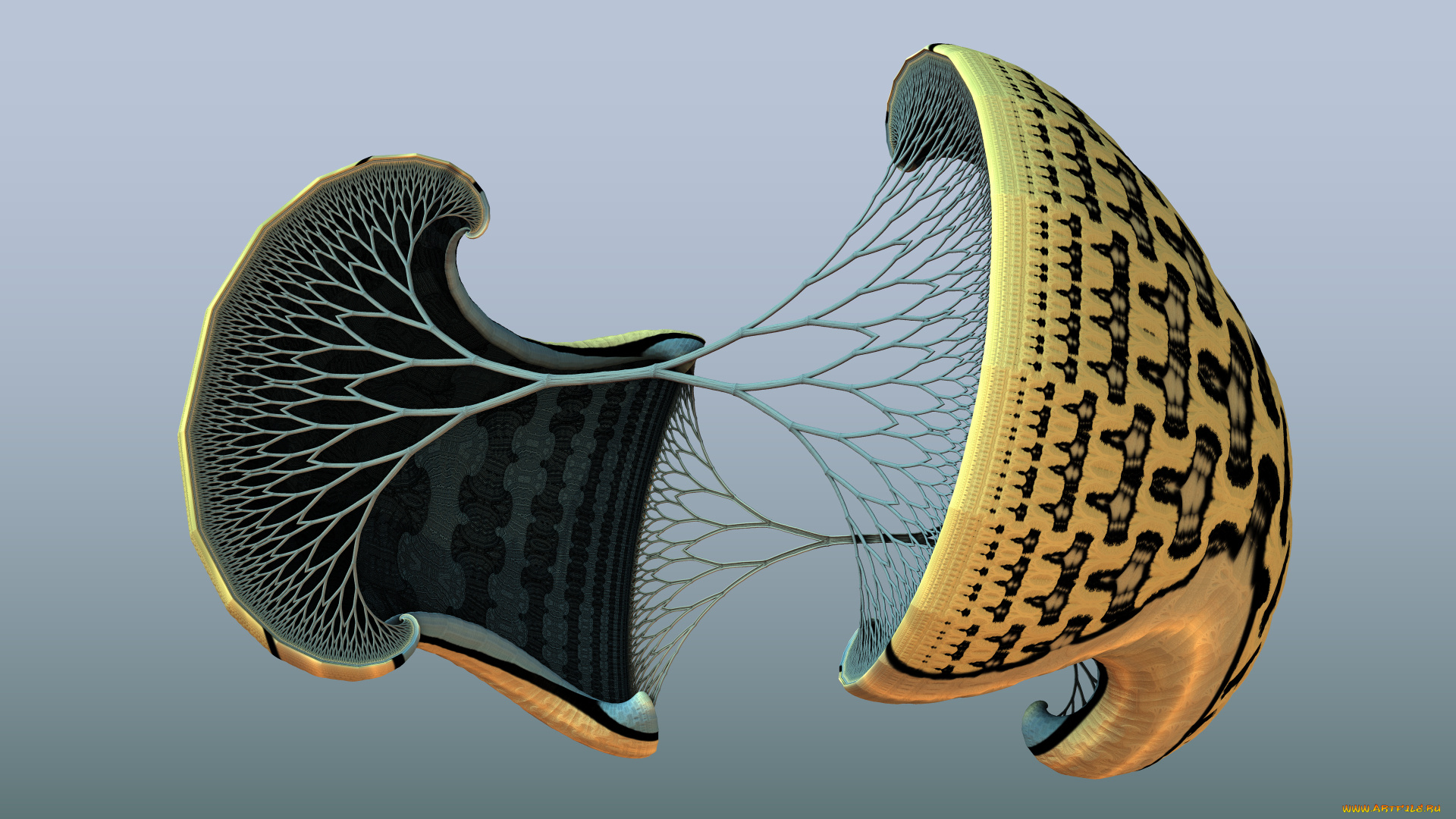 3д, графика, абстракция, , abstract, цвет, фон, узор