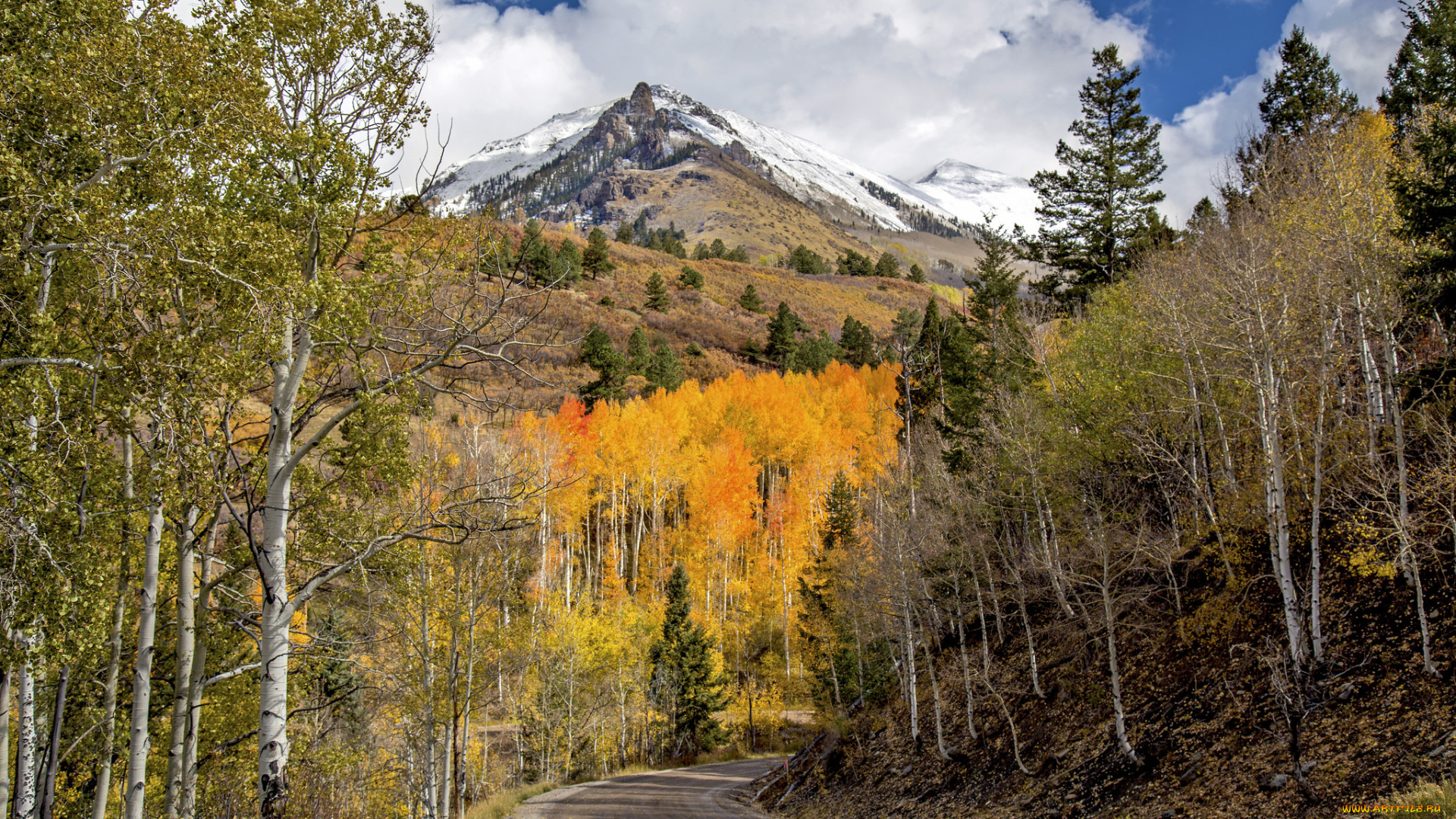 природа, дороги, простор