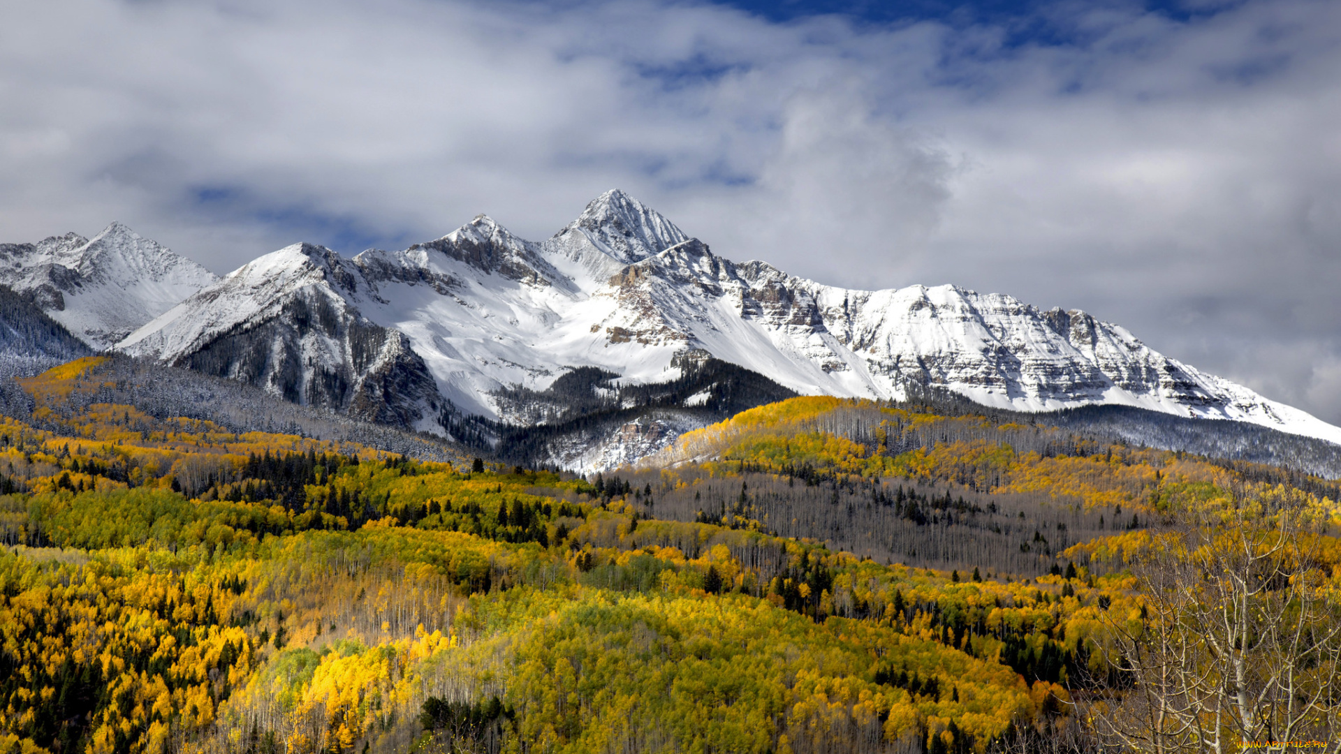 природа, горы, простор