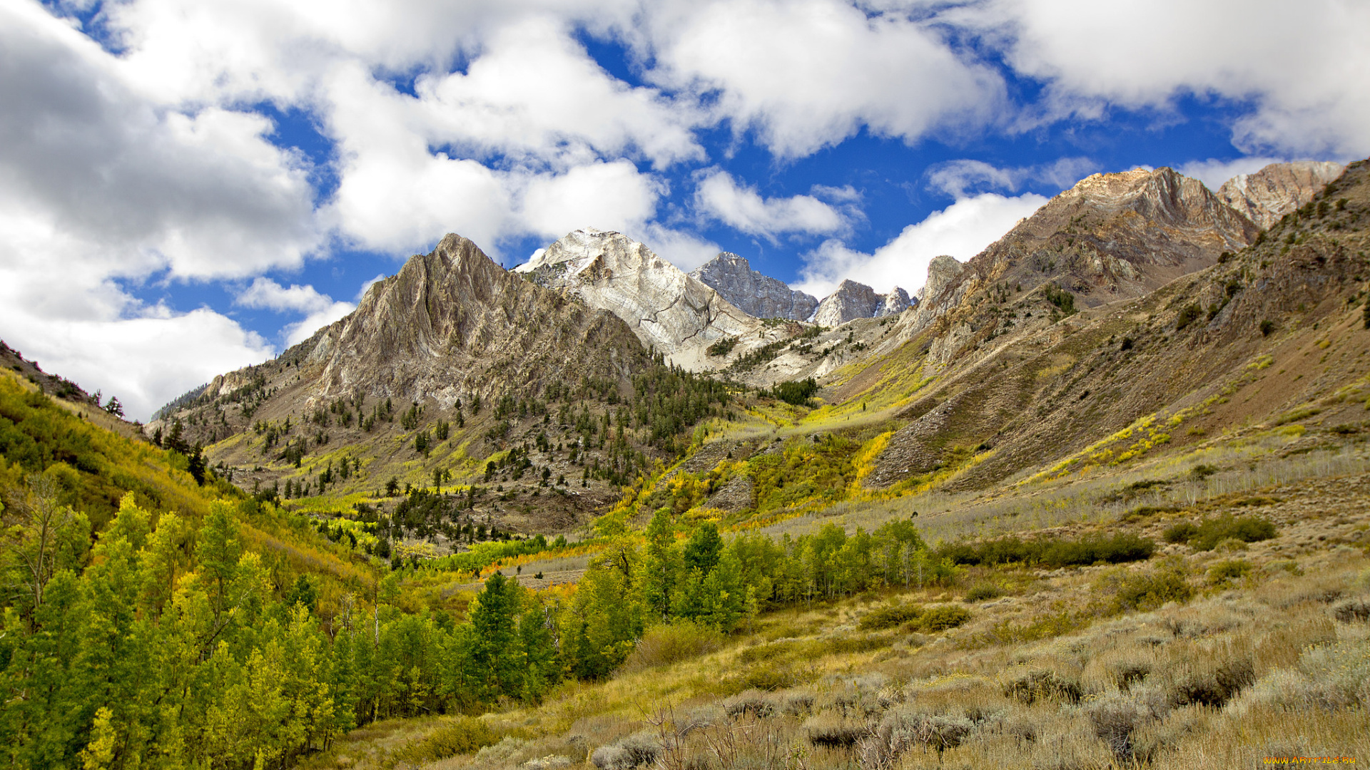 природа, горы, простор