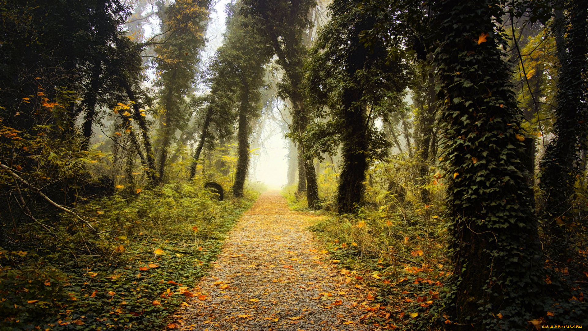 природа, парк, листва, digital, painting, дорожка