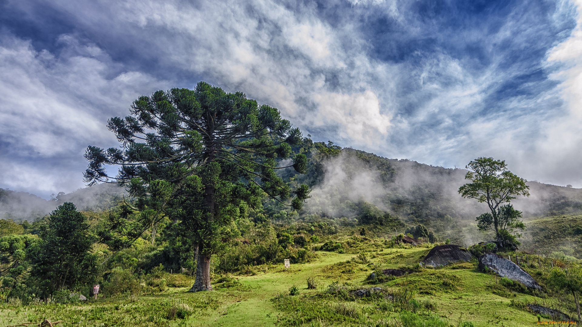 природа, пейзажи, простор