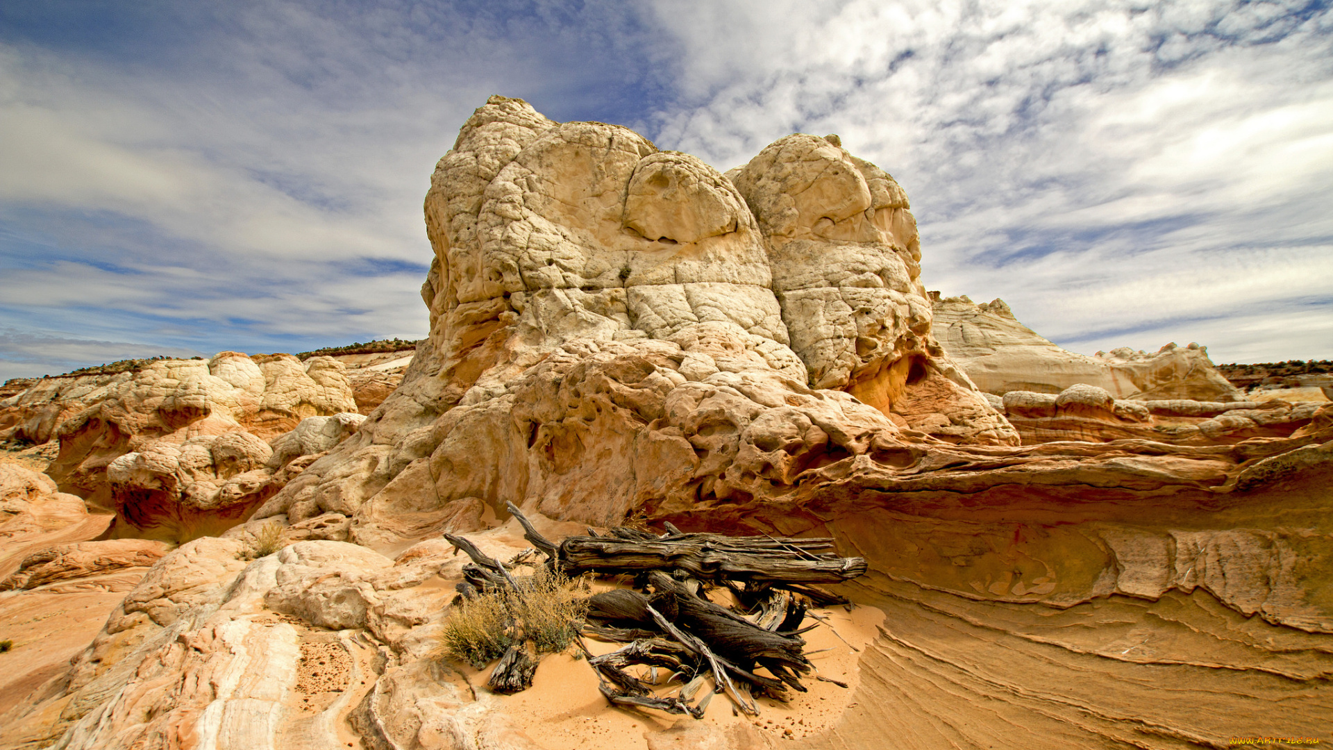 природа, пустыни, простор