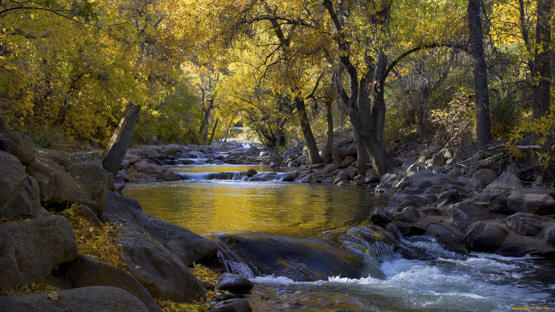 природа, реки, озера, простор