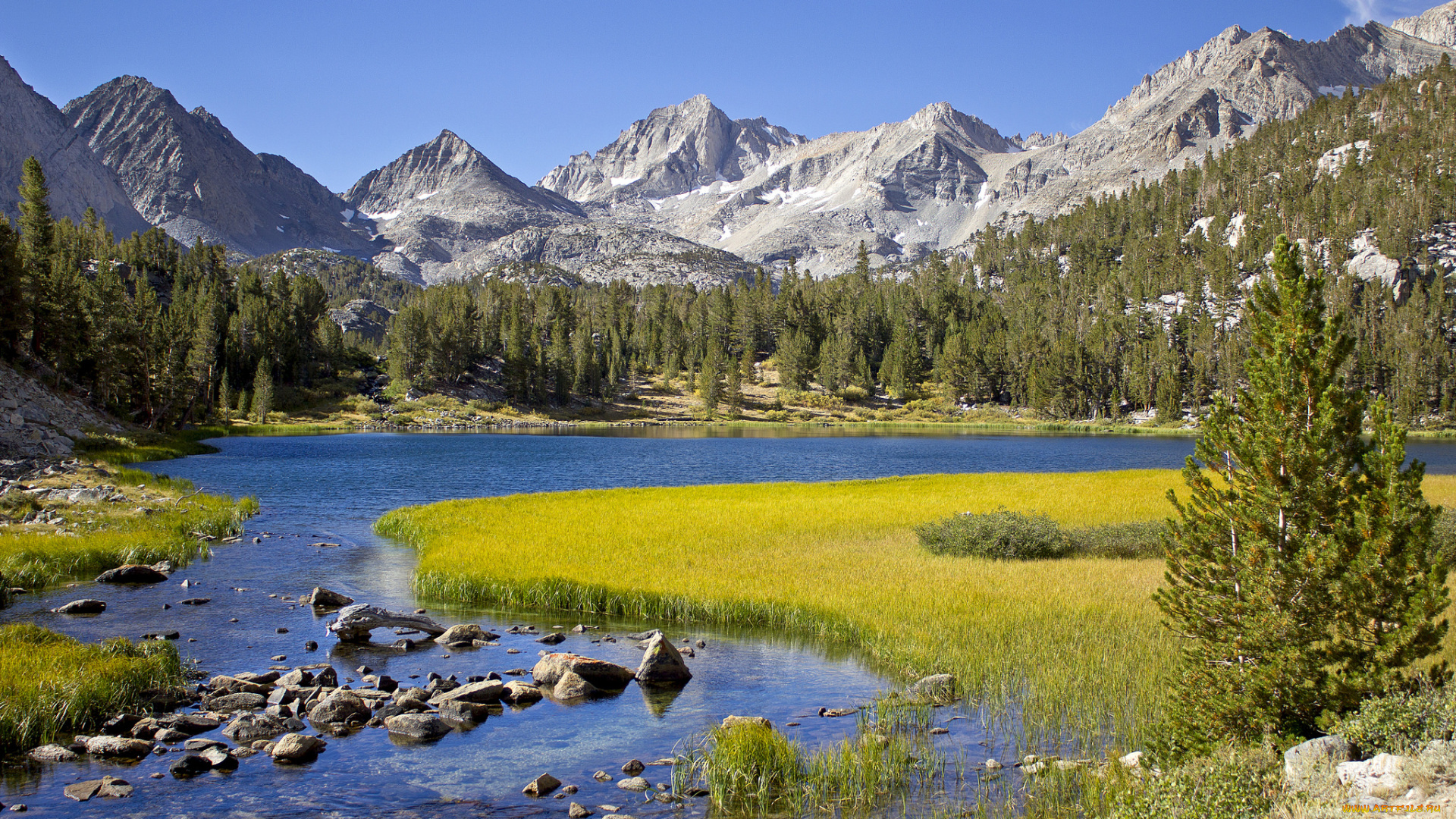 природа, реки, озера, простор