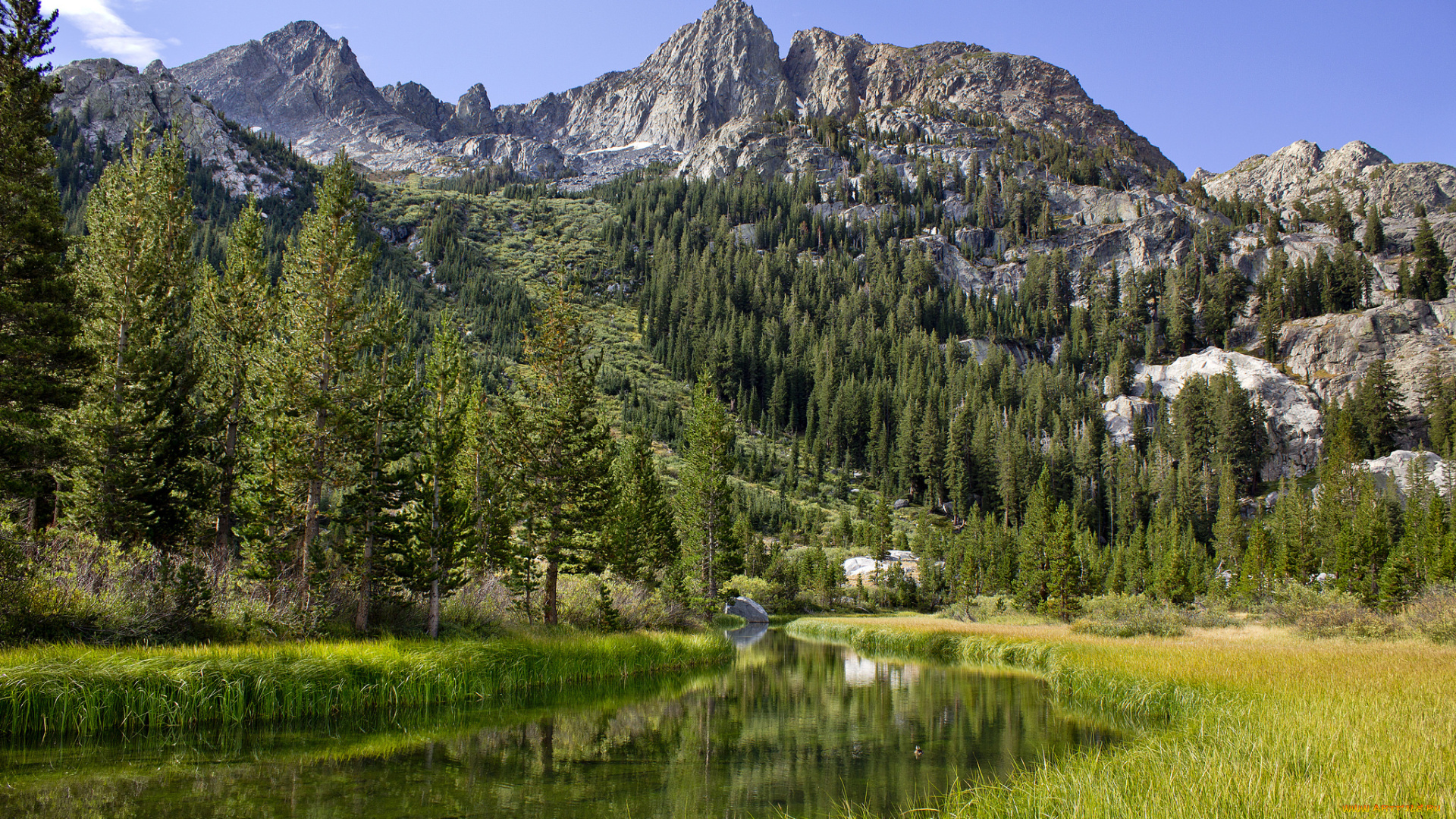 природа, реки, озера, простор