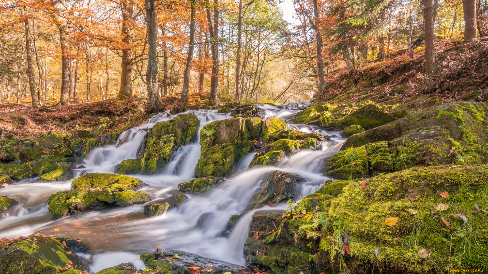 природа, реки, озера, простор