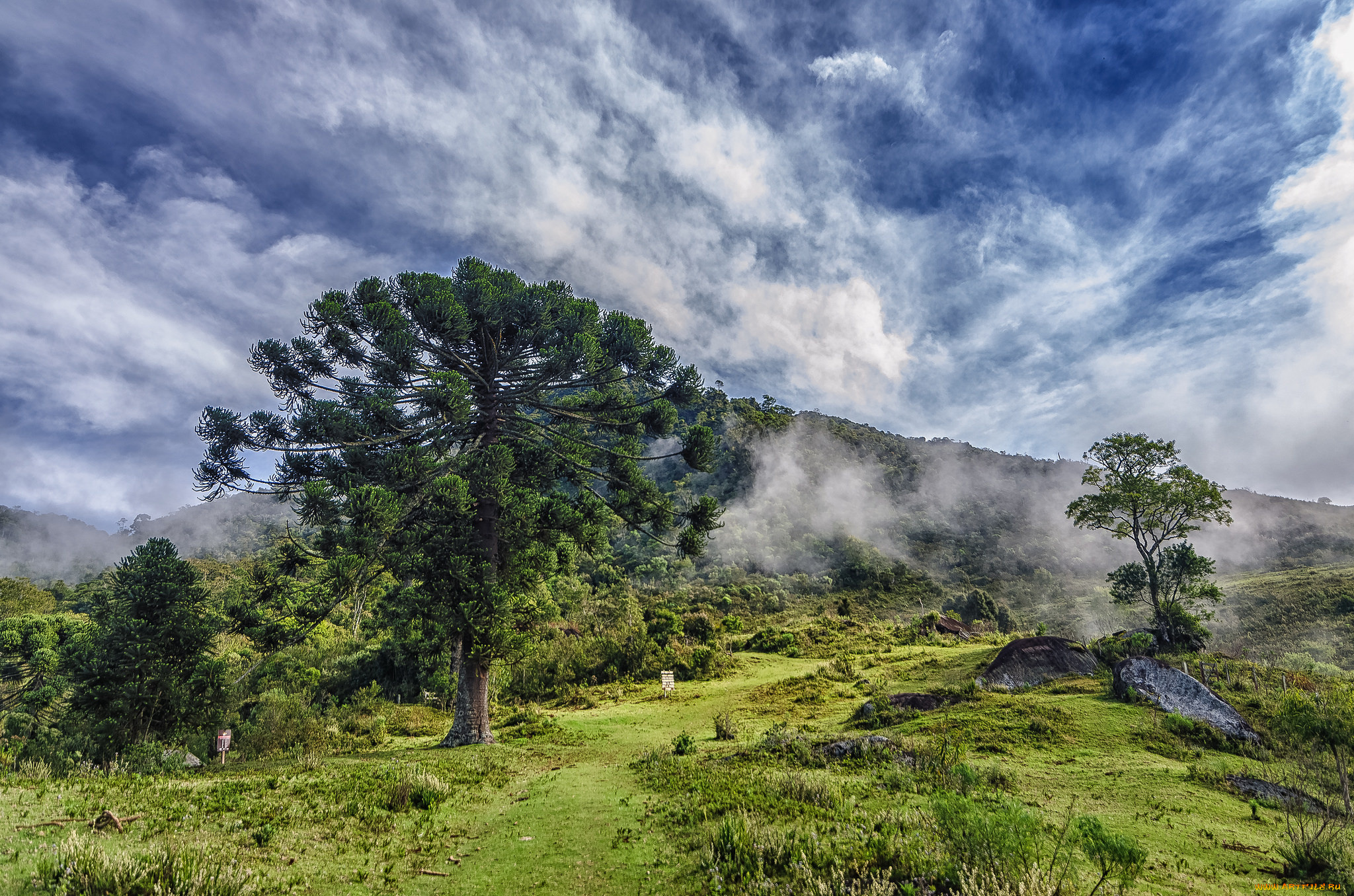 природа, пейзажи, простор