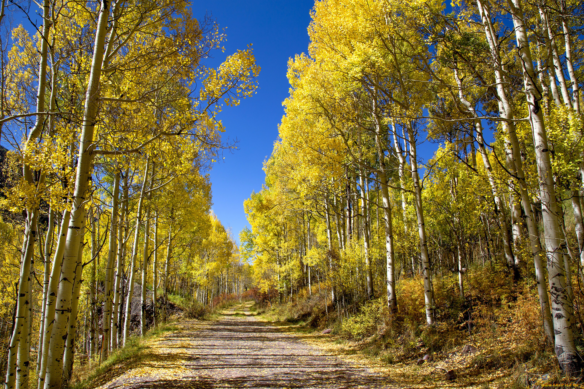 природа, дороги, простор