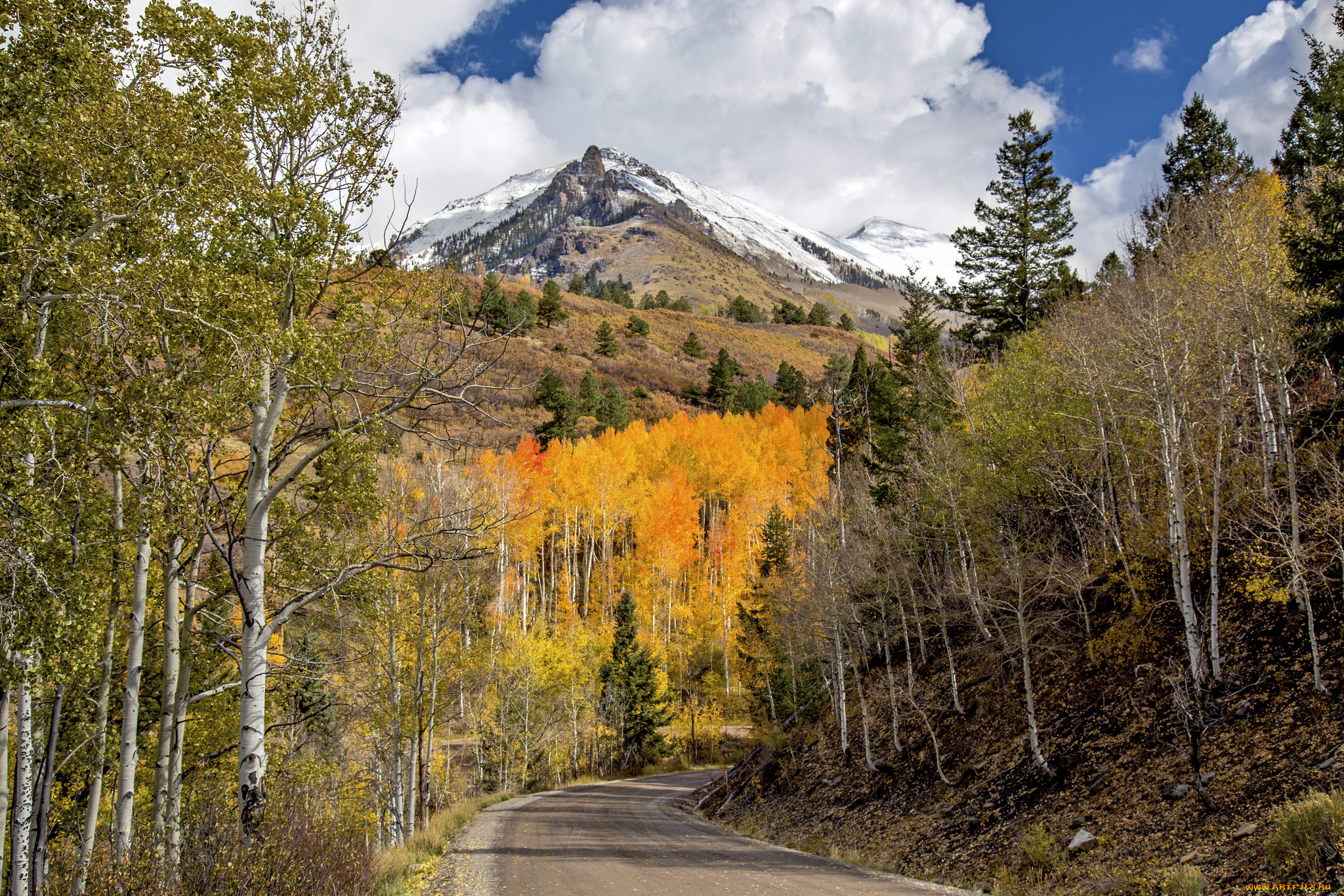 природа, дороги, простор