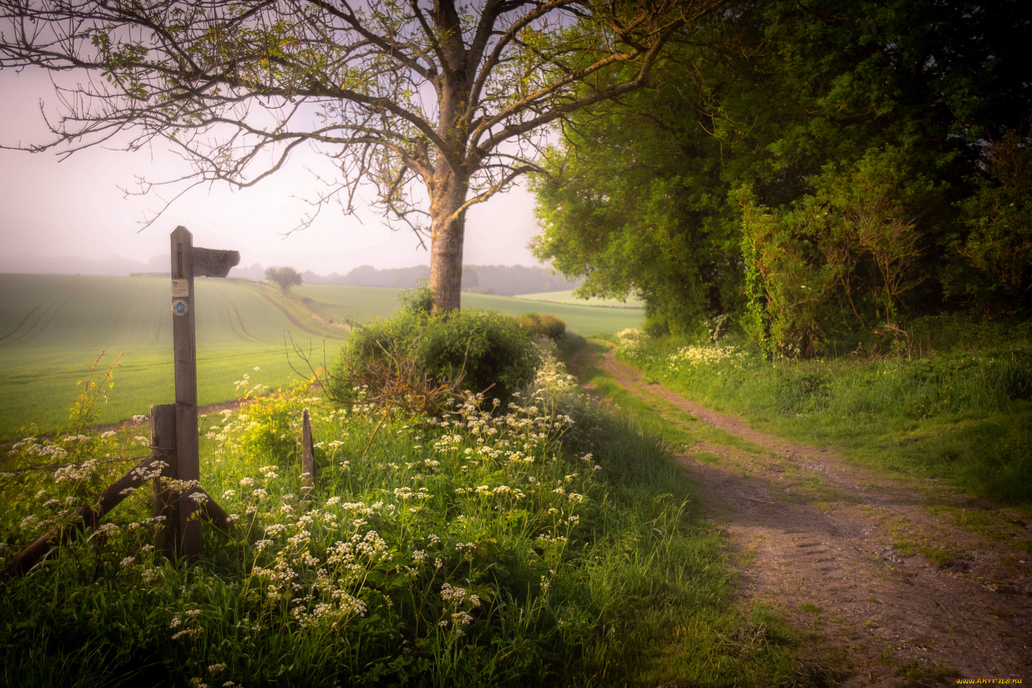 природа, дороги, простор