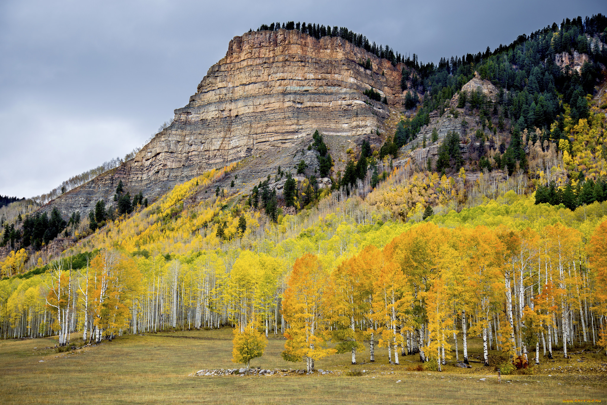 природа, горы, простор