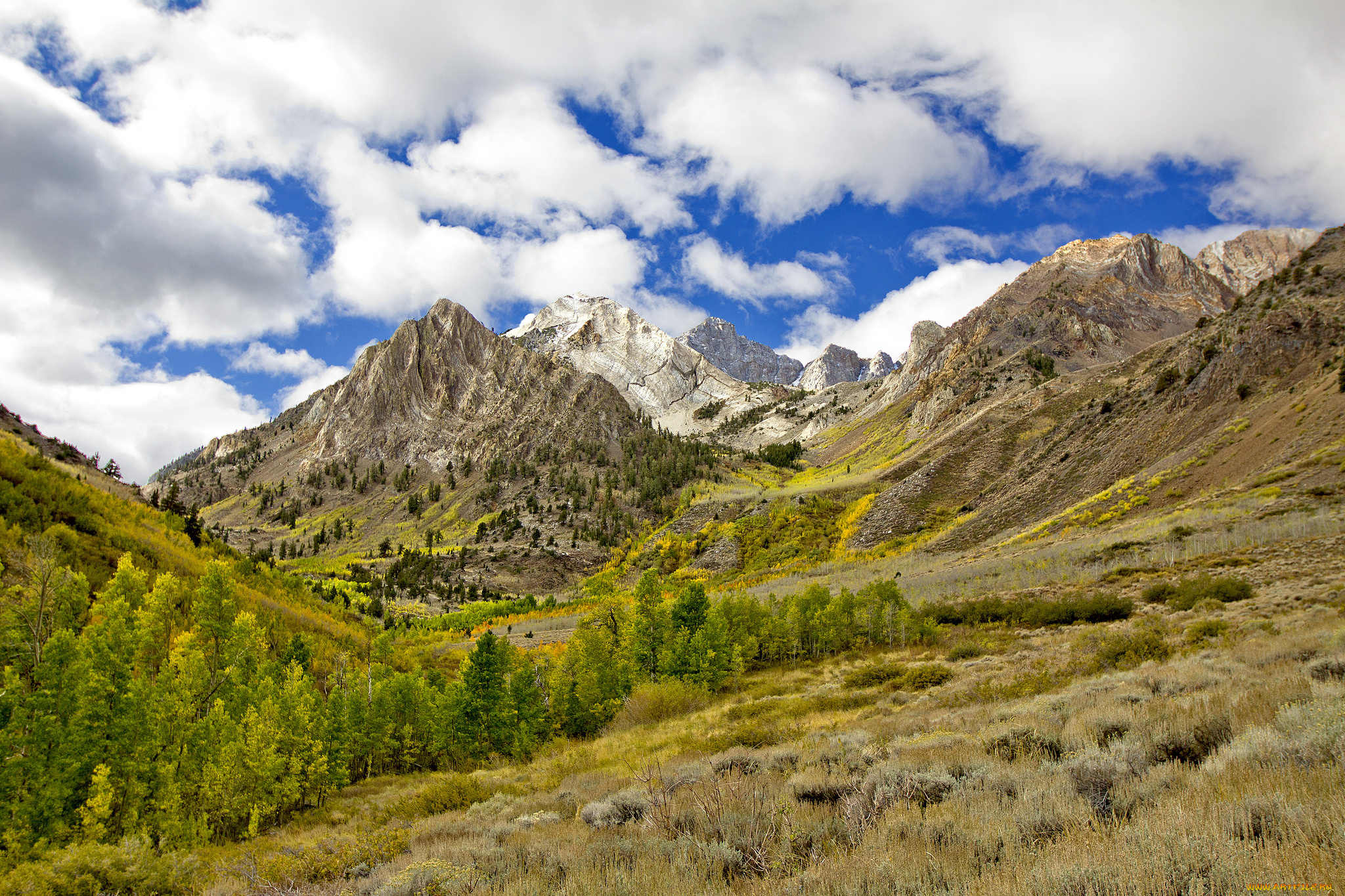 природа, горы, простор