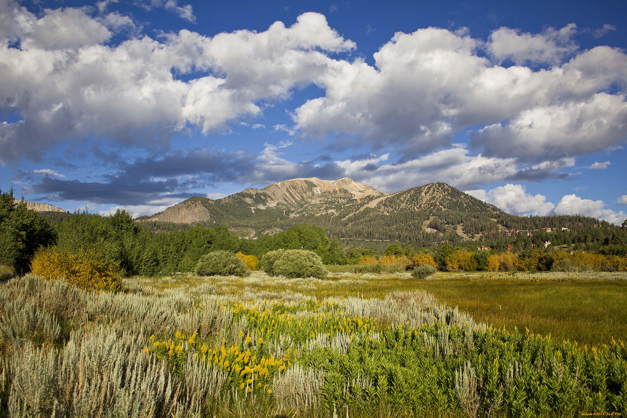 природа, пейзажи, простор