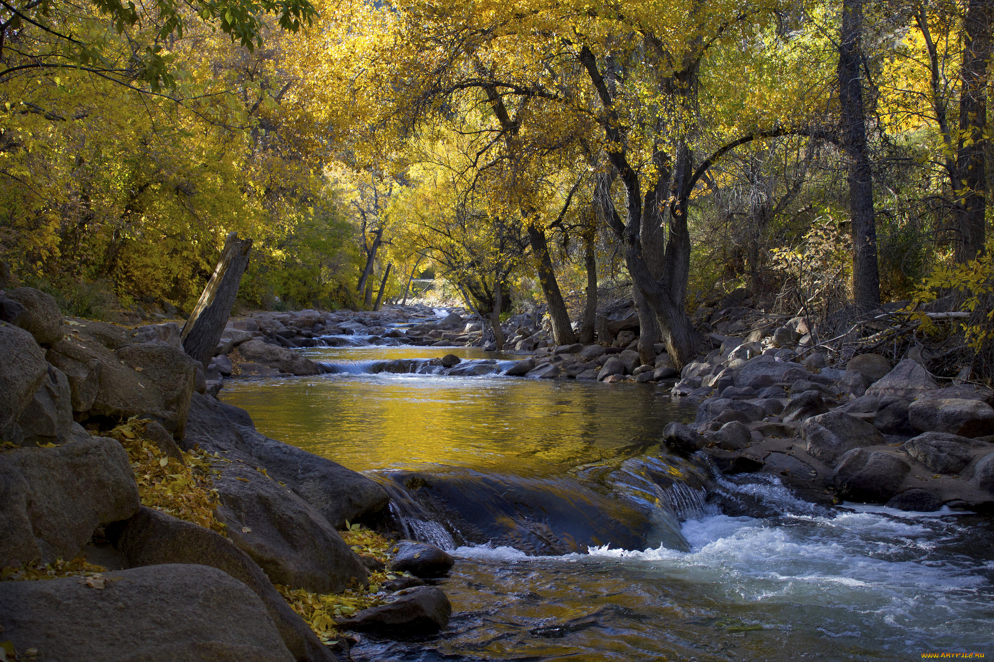 природа, реки, озера, простор