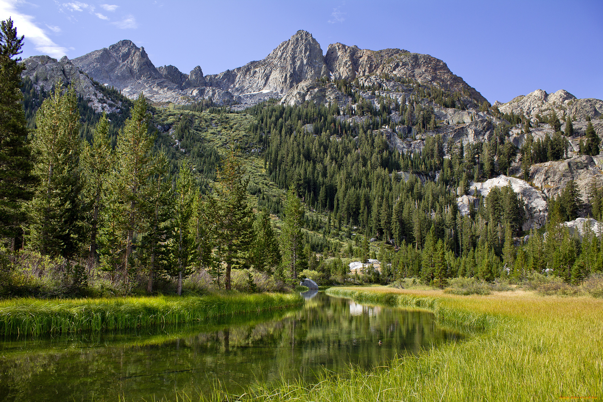 природа, реки, озера, простор