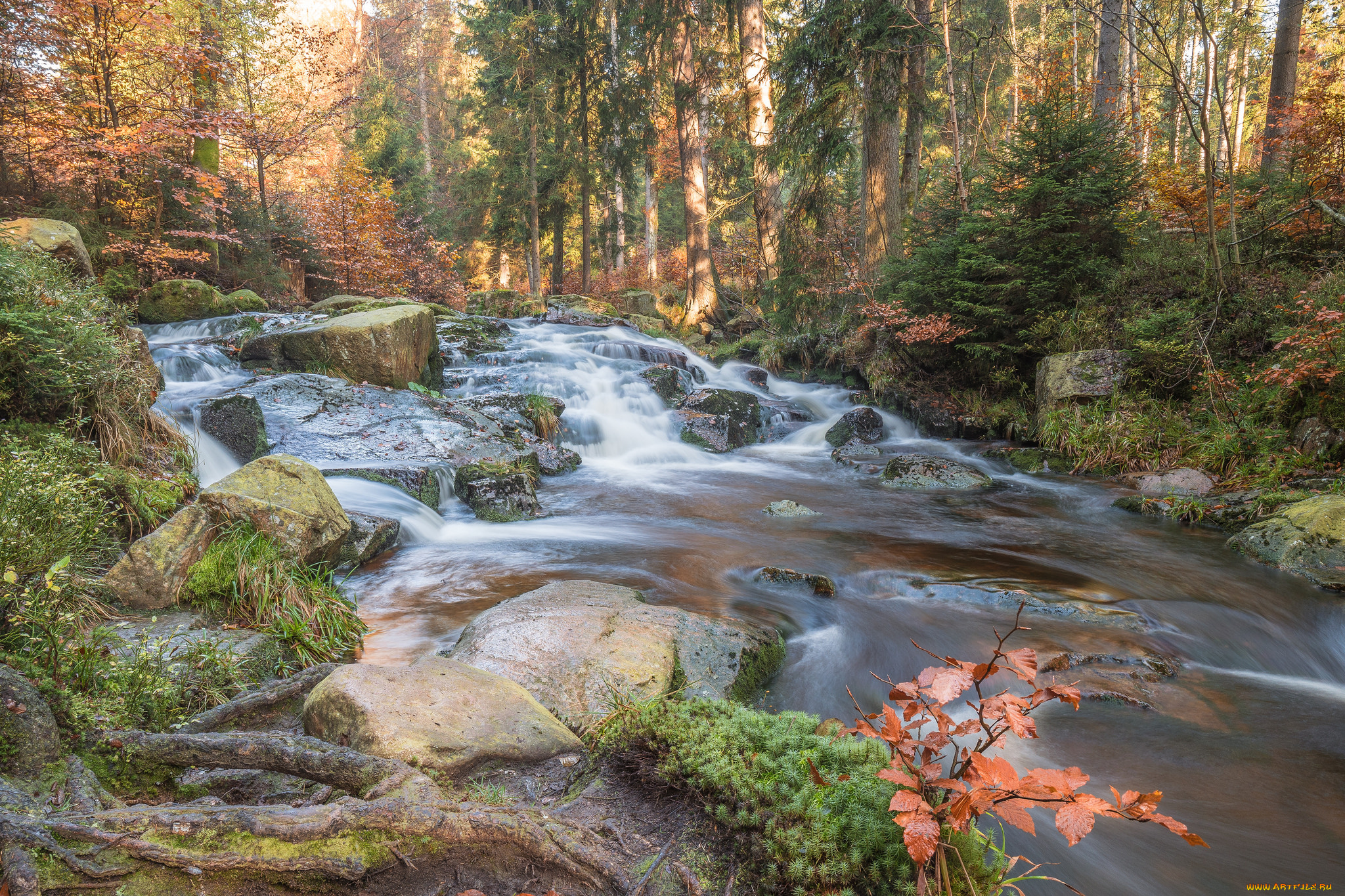 природа, реки, озера, простор