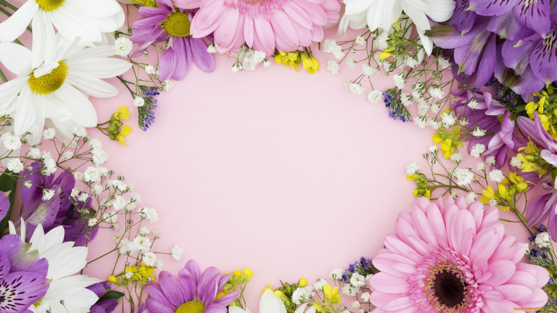 цветы, разные, вместе, альстромерия, ромашки, герберы