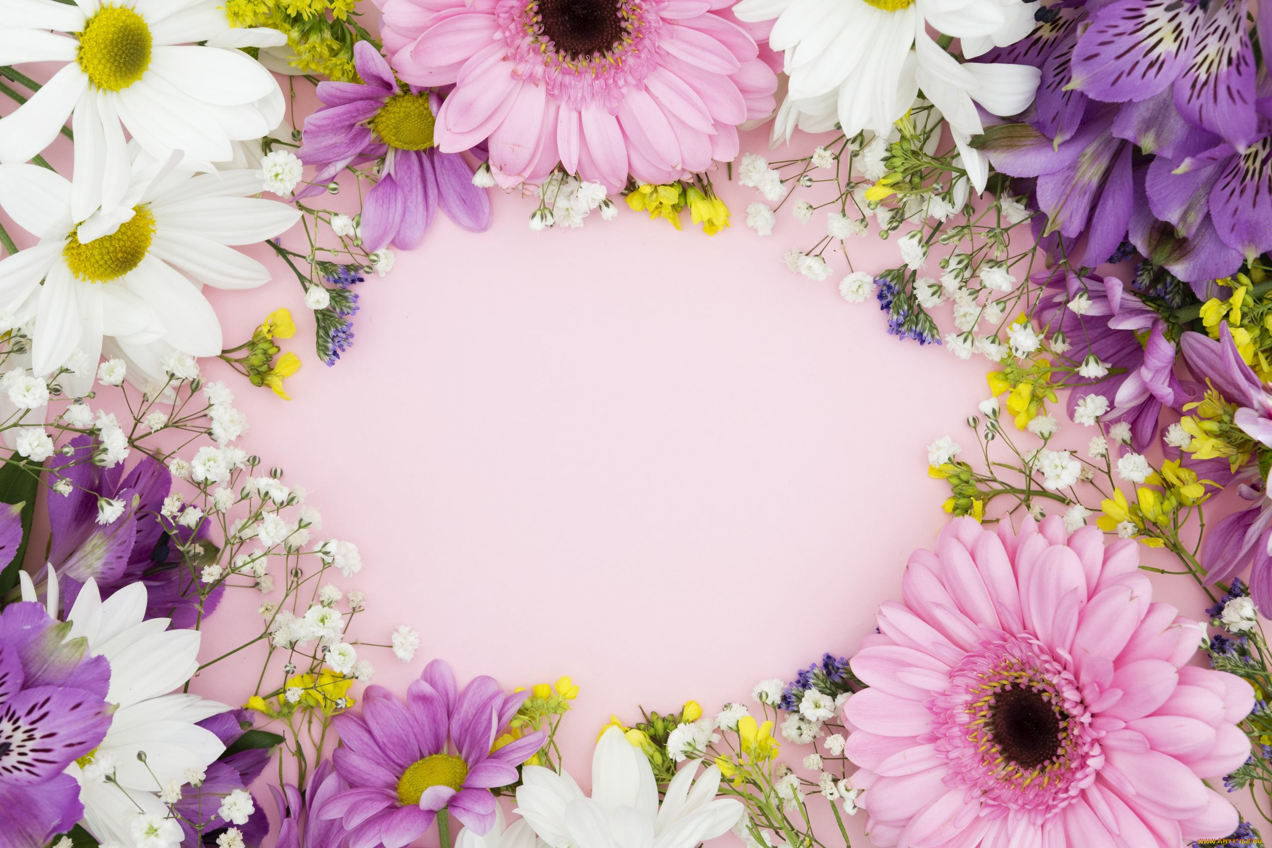 цветы, разные, вместе, альстромерия, ромашки, герберы