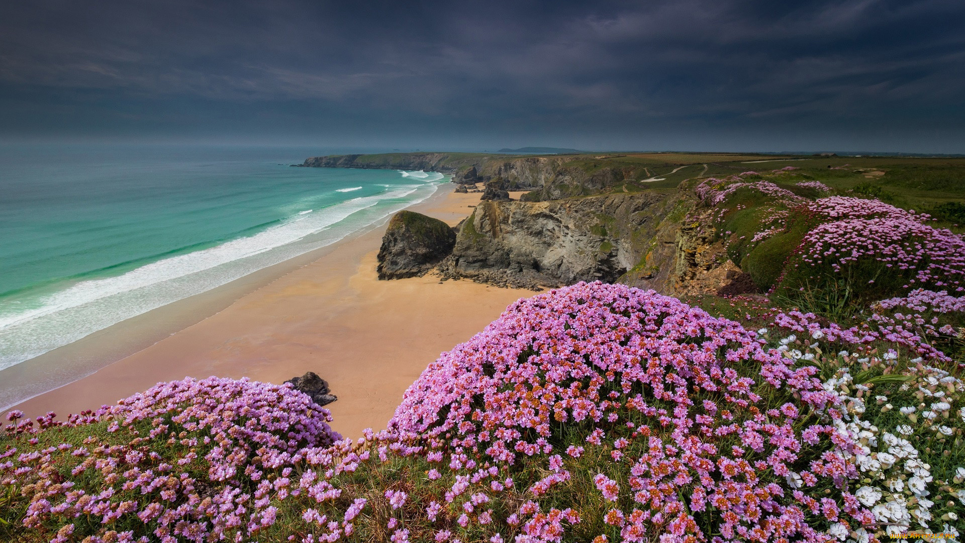 cornwall, природа, побережье