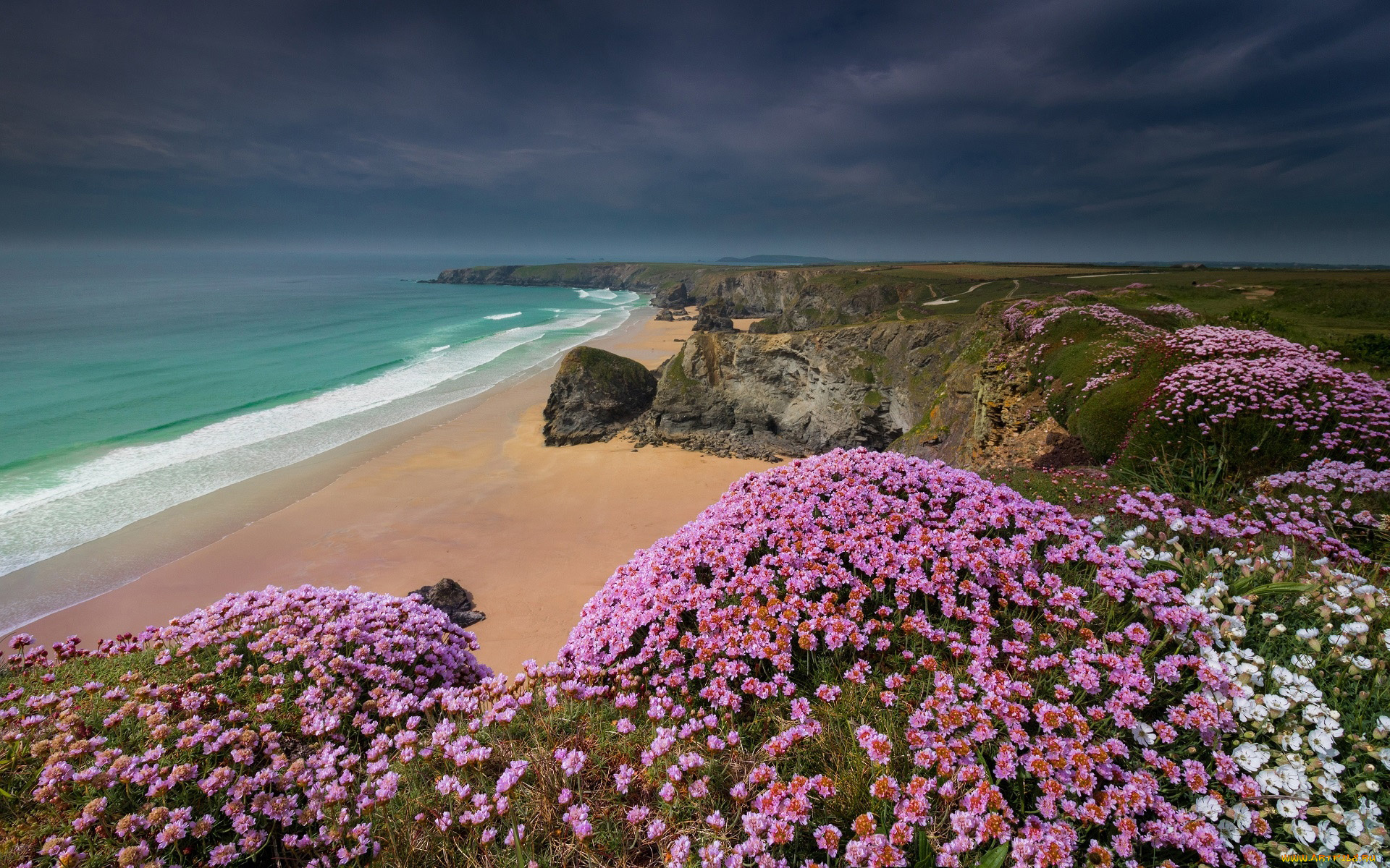 cornwall, природа, побережье
