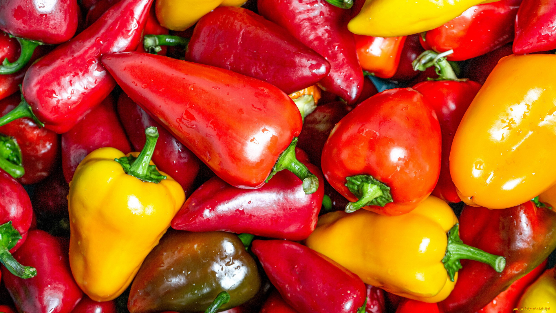 еда, перец, болгарский, разноцветные, стручки